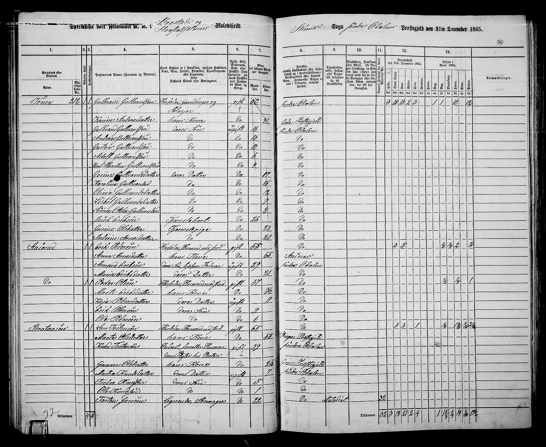 RA, 1865 census for Sør-Odal, 1865, p. 74