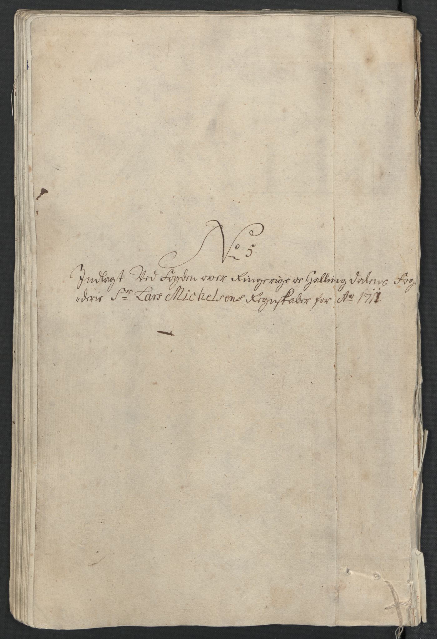 Rentekammeret inntil 1814, Reviderte regnskaper, Fogderegnskap, AV/RA-EA-4092/R23/L1469: Fogderegnskap Ringerike og Hallingdal, 1711, p. 281