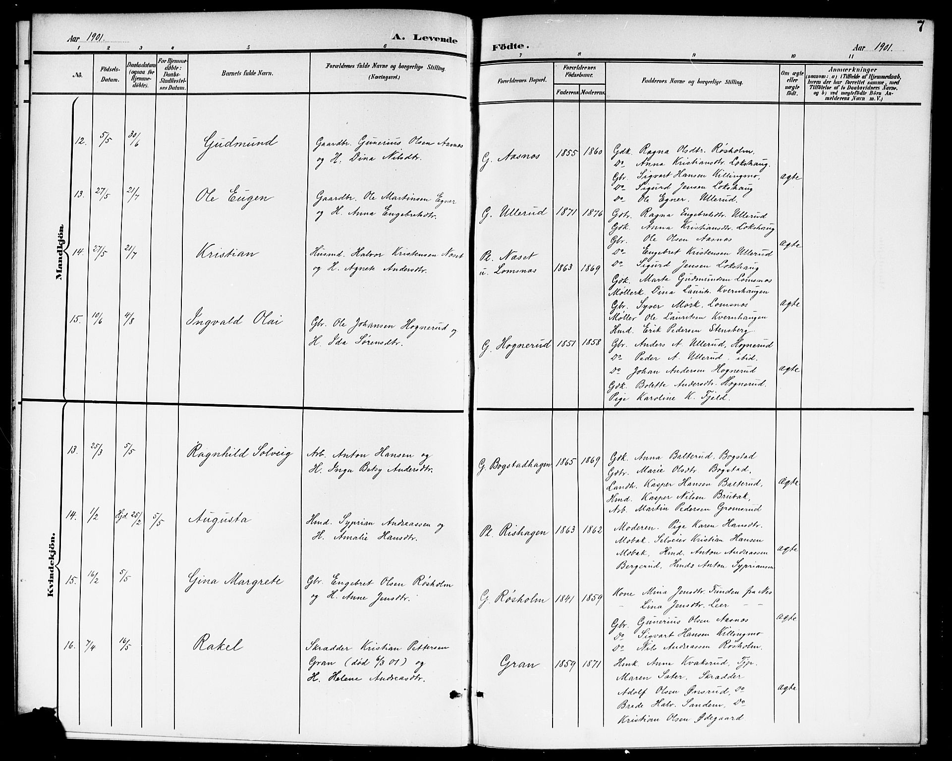 Aurskog prestekontor Kirkebøker, AV/SAO-A-10304a/G/Ga/L0004: Parish register (copy) no. I 4, 1901-1921, p. 7