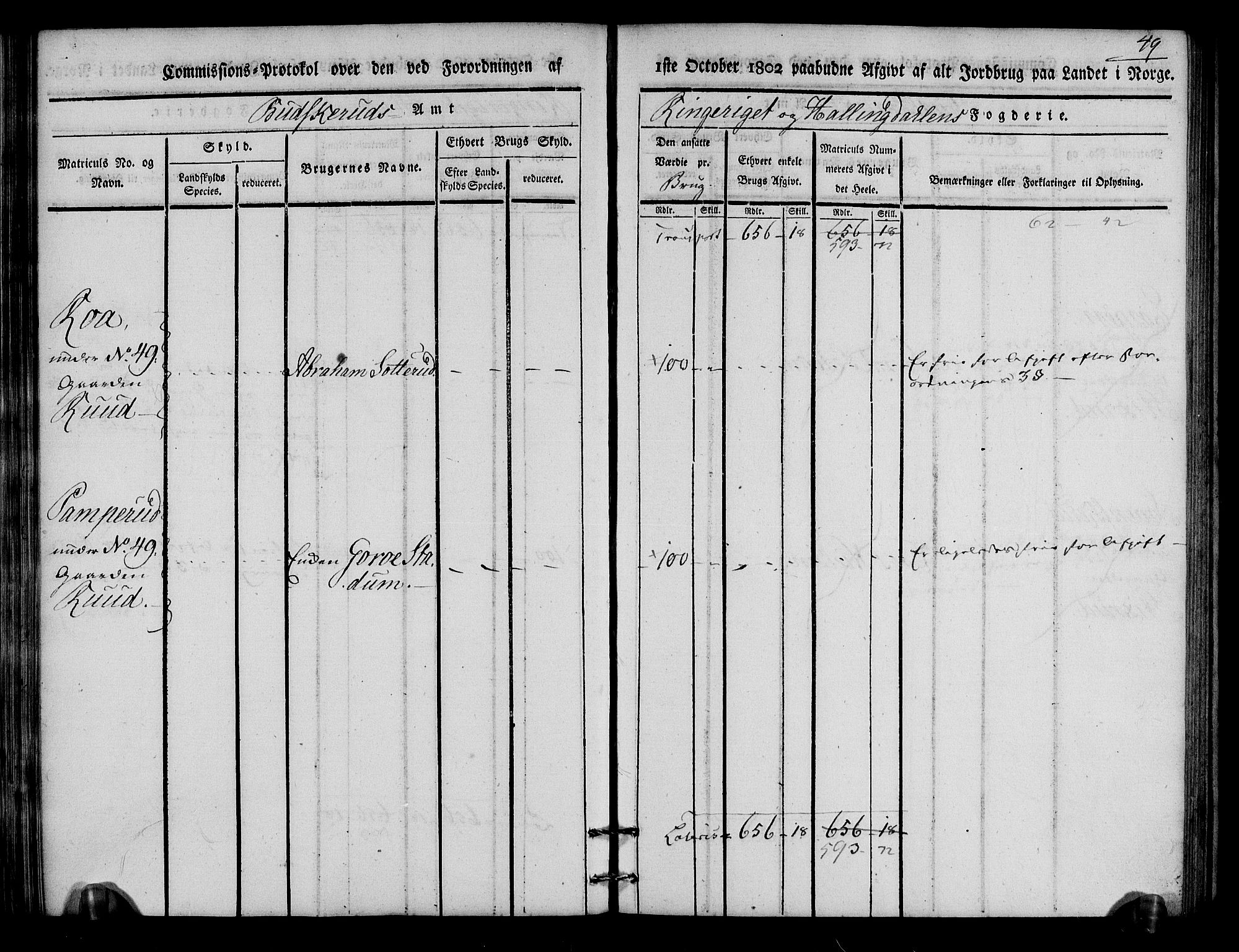 Rentekammeret inntil 1814, Realistisk ordnet avdeling, AV/RA-EA-4070/N/Ne/Nea/L0046: Ringerike og Hallingdal fogderi. Kommisjonsprotokoll for Hole prestegjeld, 1803, p. 50