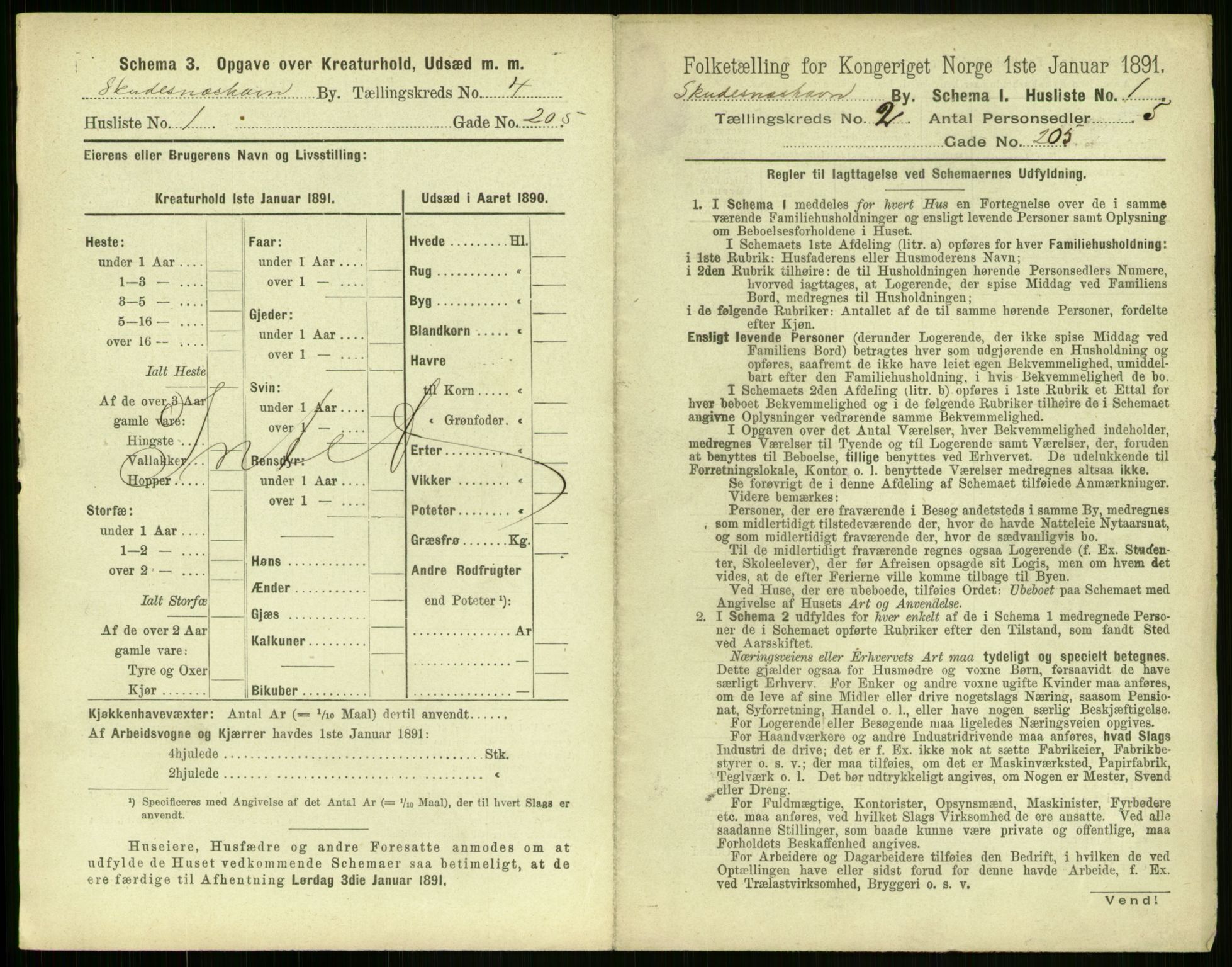 RA, 1891 census for 1104 Skudeneshavn, 1891, p. 60