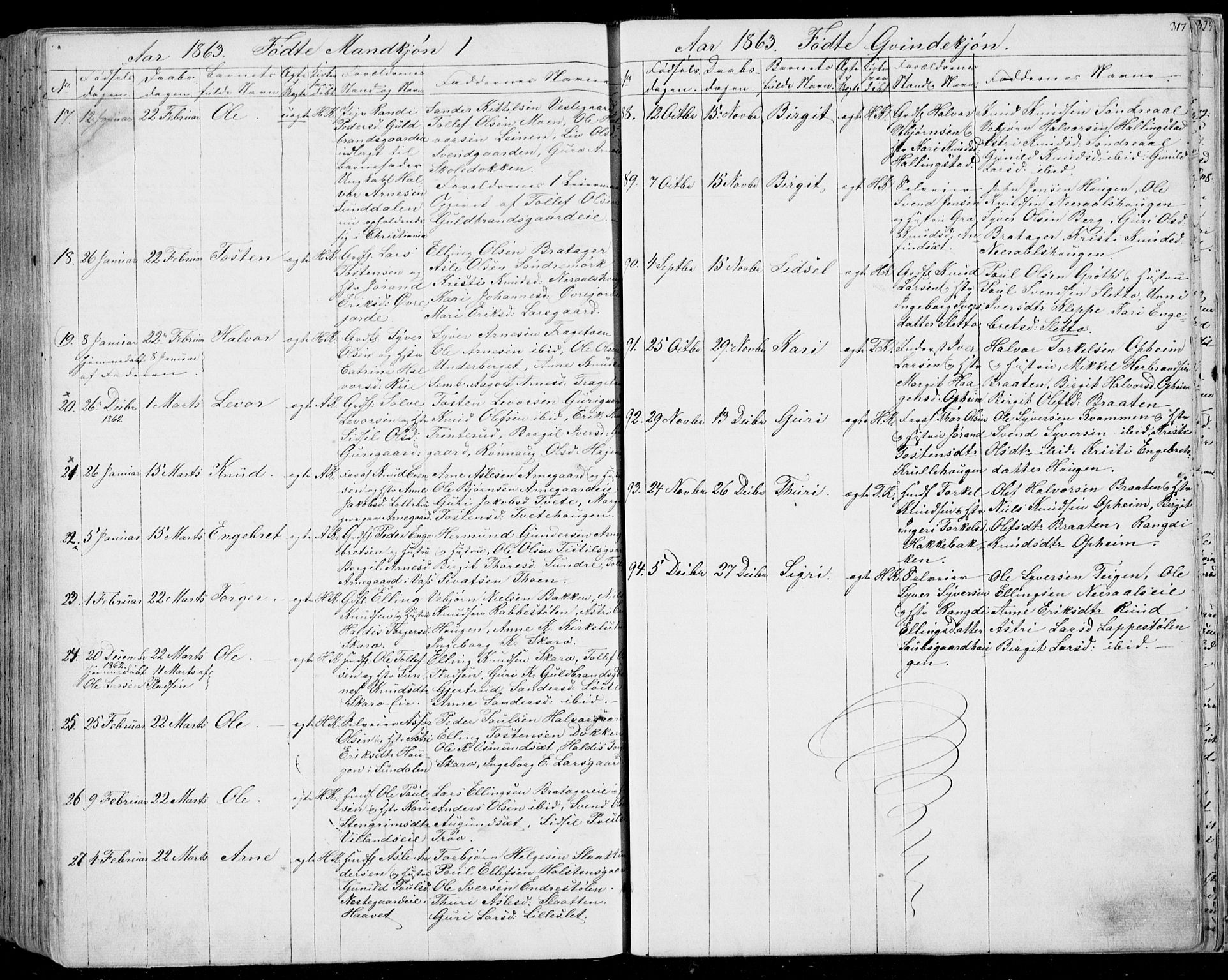 Ål kirkebøker, AV/SAKO-A-249/F/Fa/L0006: Parish register (official) no. I 6, 1849-1864, p. 317