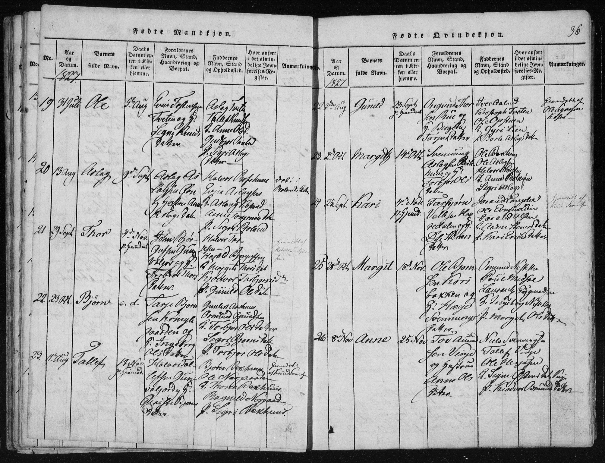 Vinje kirkebøker, AV/SAKO-A-312/F/Fa/L0003: Parish register (official) no. I 3, 1814-1843, p. 36