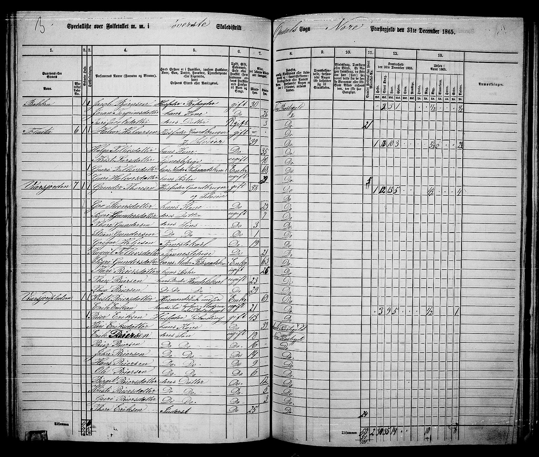 RA, 1865 census for Nore, 1865, p. 123