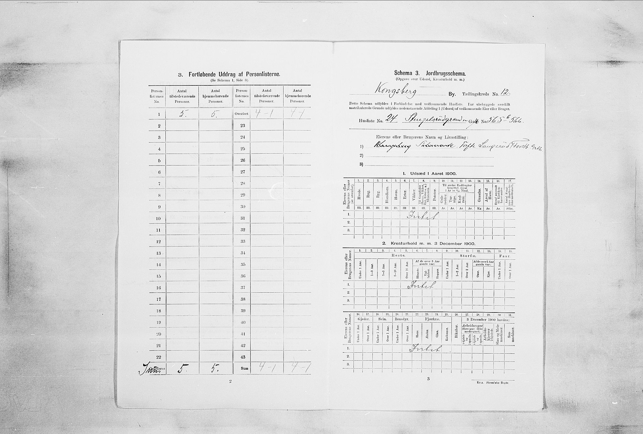 RA, 1900 census for Kongsberg, 1900, p. 2210