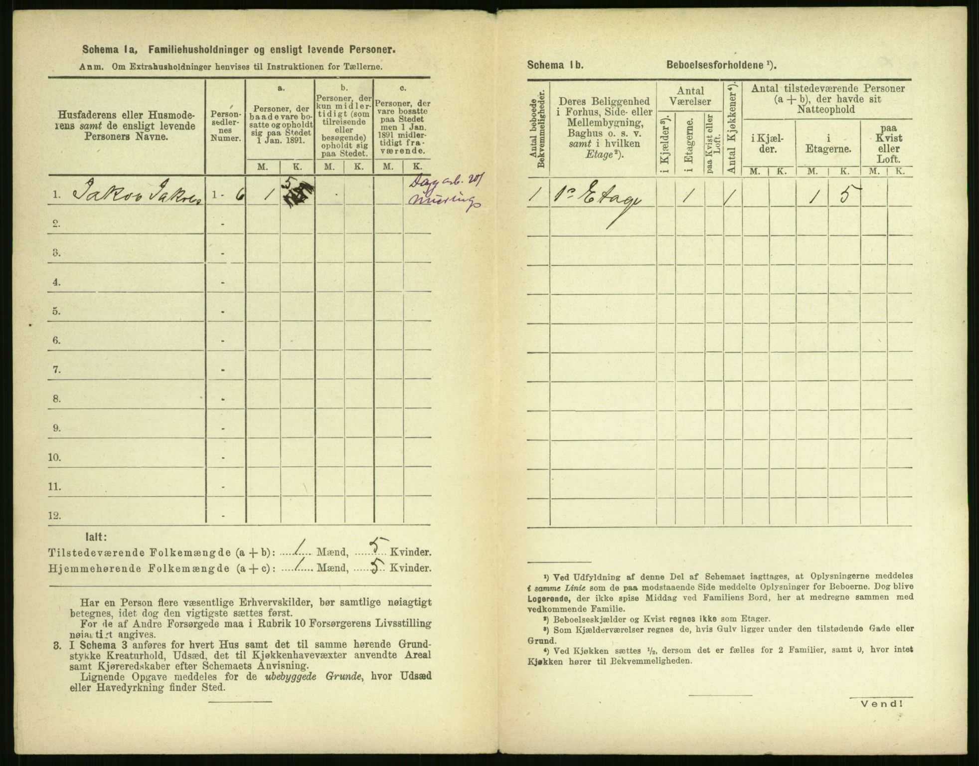 RA, 1891 census for 1104 Skudeneshavn, 1891, p. 25