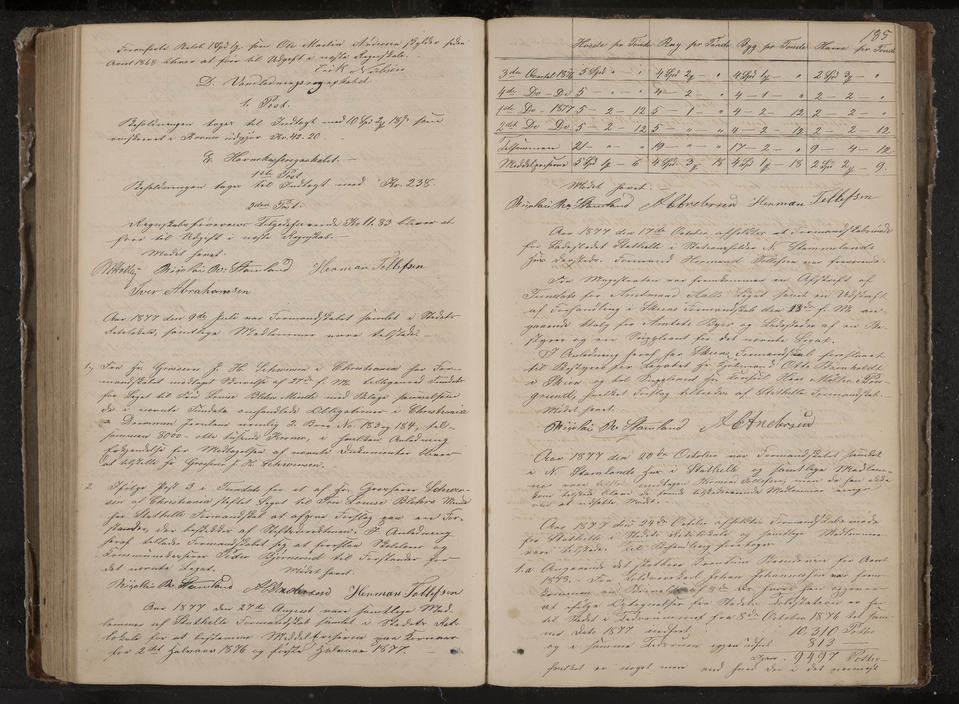 Stathelle formannskap og sentraladministrasjon, IKAK/0803021/A/L0001: Møtebok, 1852-1891, p. 185