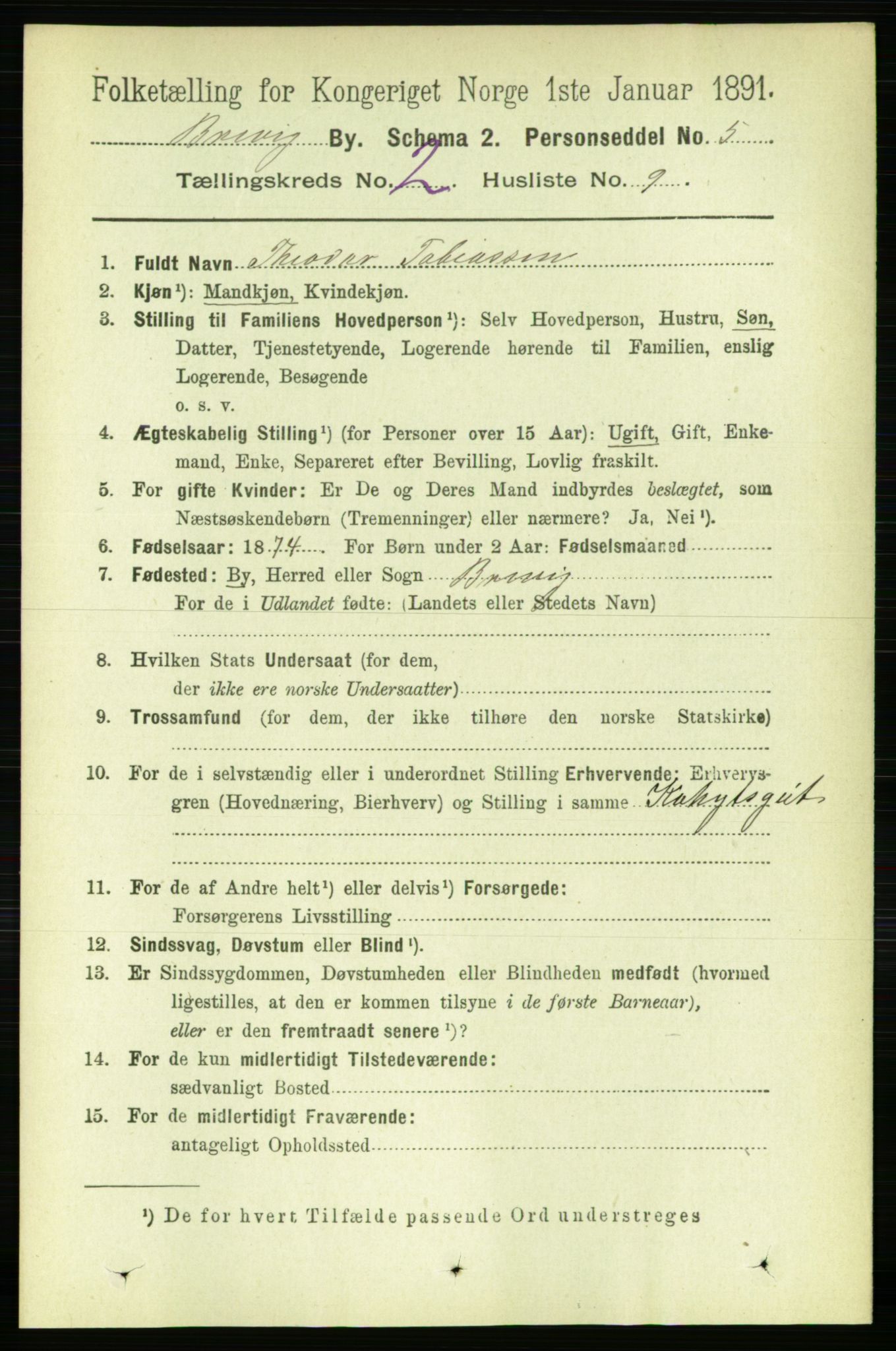 RA, 1891 census for 0804 Brevik, 1891, p. 1659