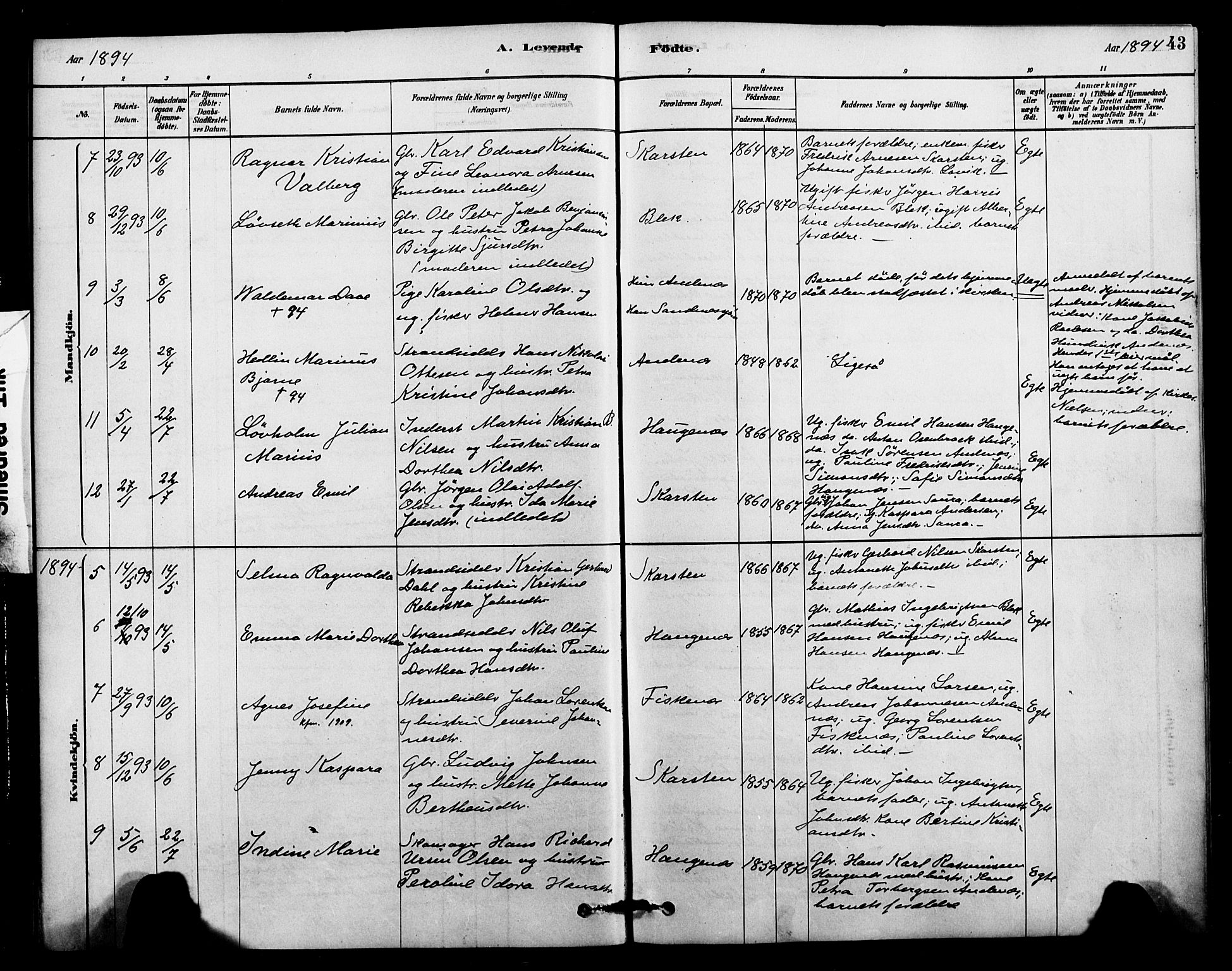 Ministerialprotokoller, klokkerbøker og fødselsregistre - Nordland, AV/SAT-A-1459/899/L1436: Parish register (official) no. 899A04, 1881-1896, p. 43