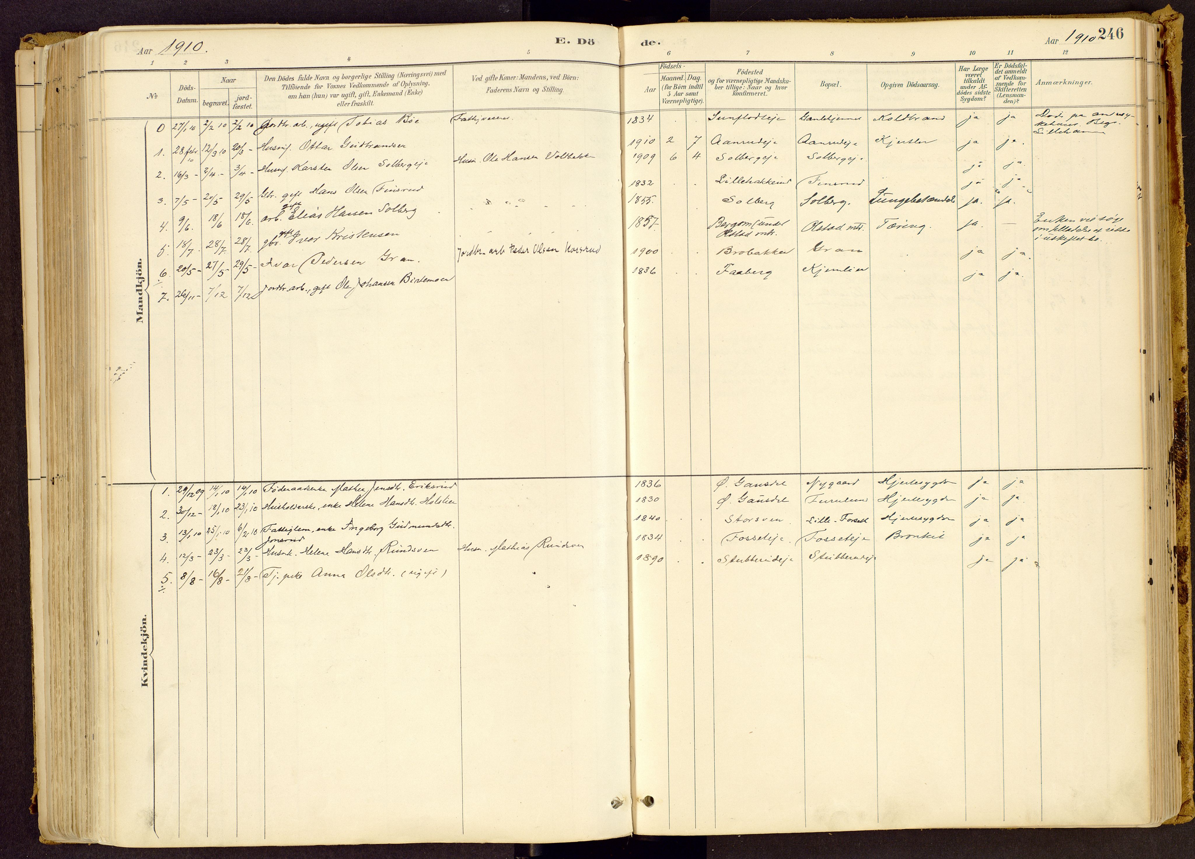 Vestre Gausdal prestekontor, SAH/PREST-094/H/Ha/Haa/L0001: Parish register (official) no. 1, 1887-1914, p. 246