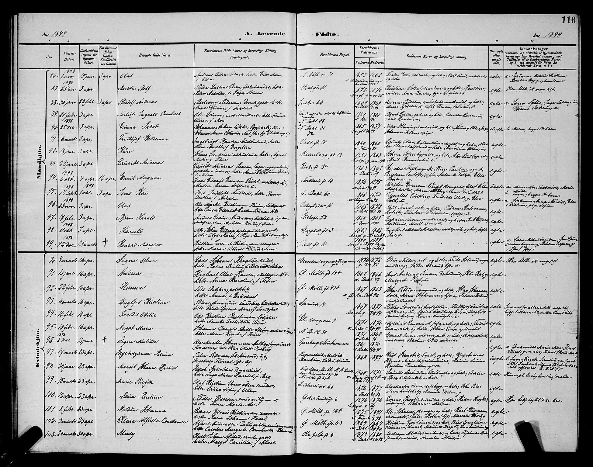 Ministerialprotokoller, klokkerbøker og fødselsregistre - Sør-Trøndelag, AV/SAT-A-1456/604/L0225: Parish register (copy) no. 604C08, 1895-1899, p. 116