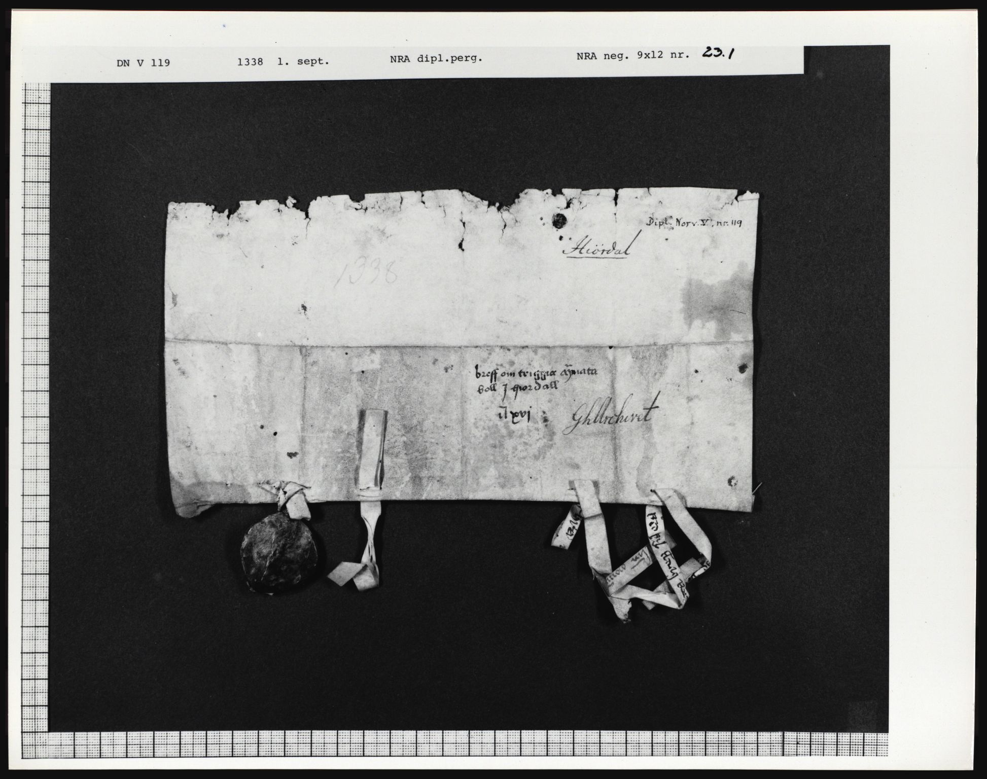 Riksarkivets diplomsamling, AV/RA-EA-5965/F01/F01a/L0045: Dokumenter, 1338, p. 19