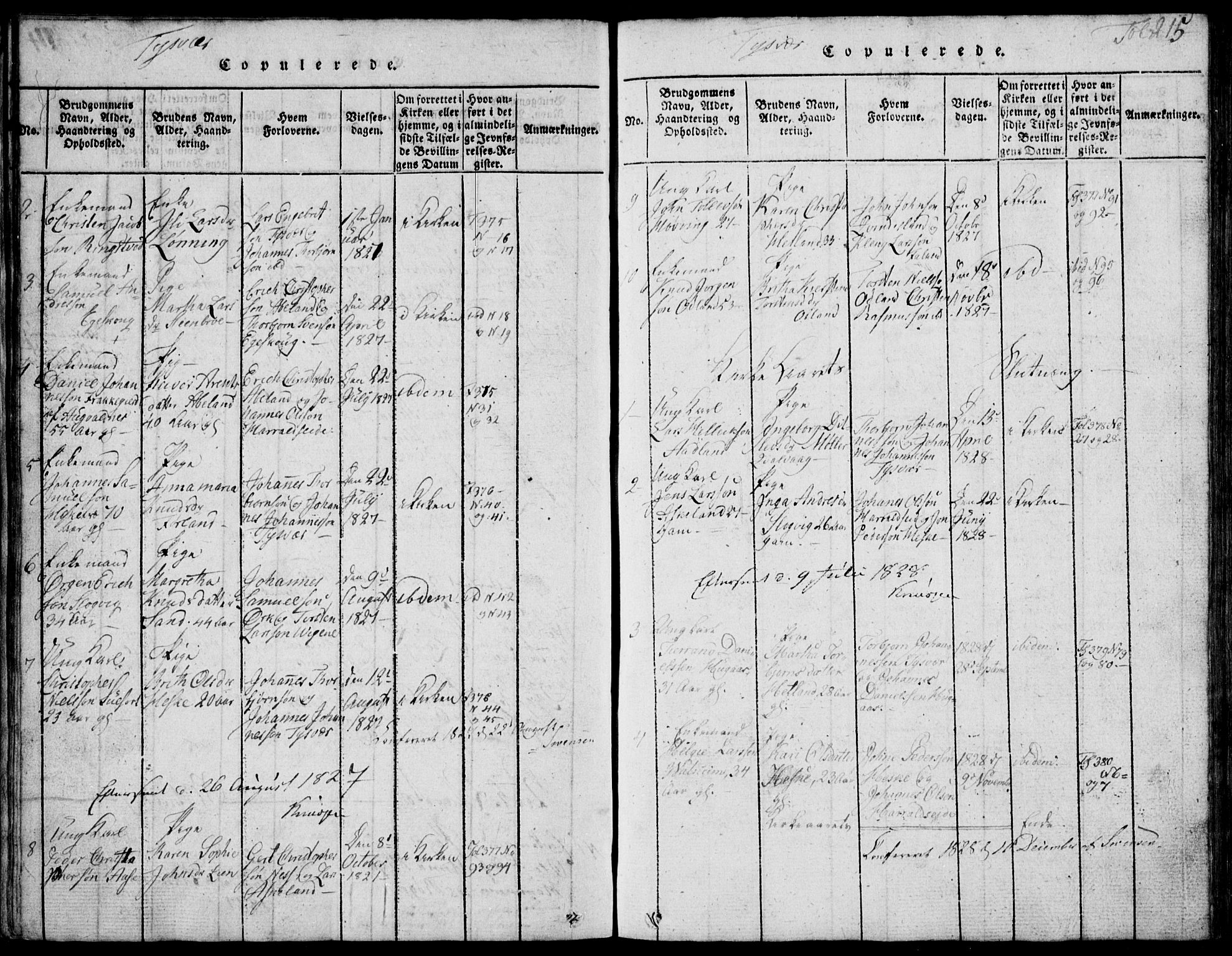 Skjold sokneprestkontor, SAST/A-101847/H/Ha/Hab/L0002: Parish register (copy) no. B 2 /1, 1815-1830, p. 215