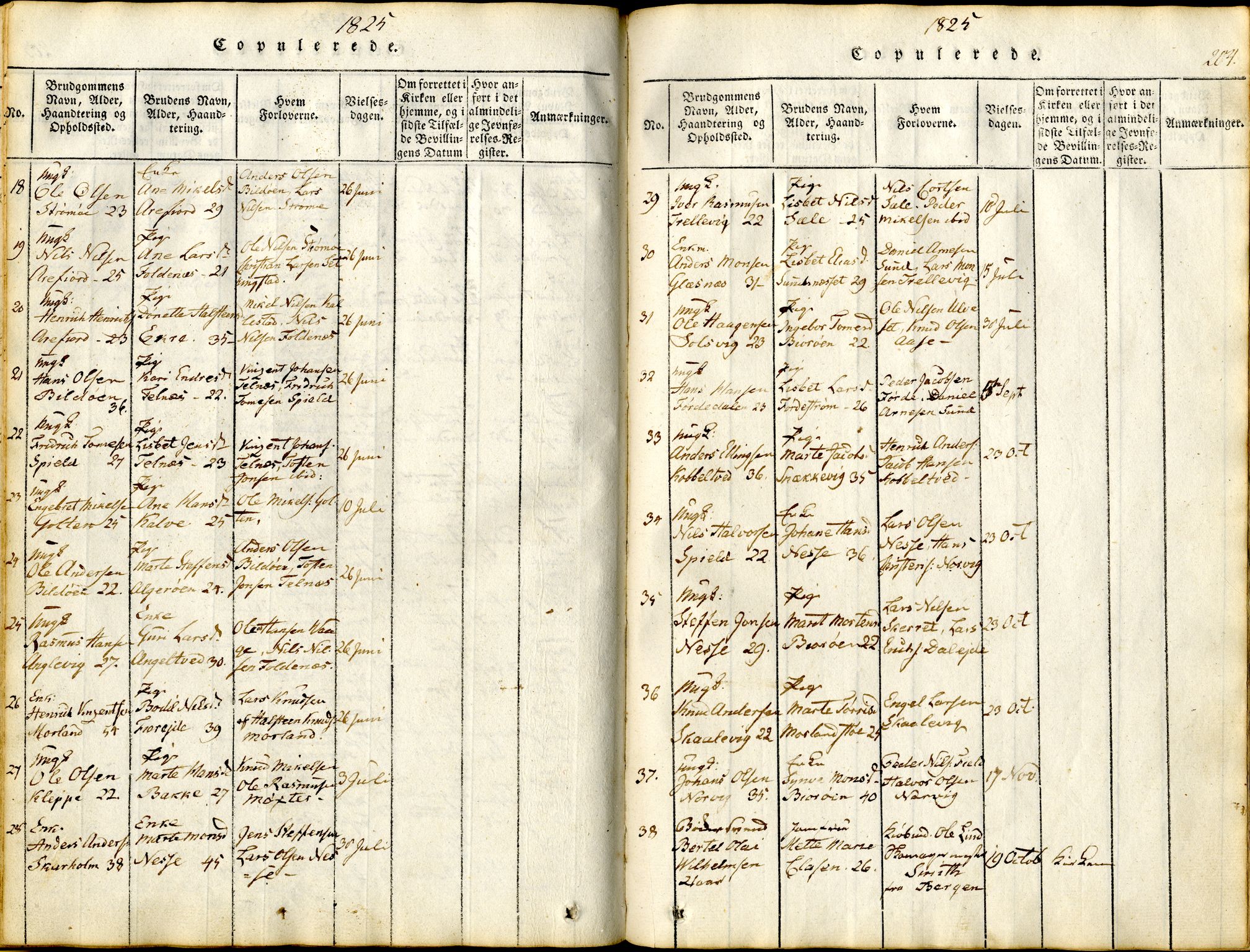 Sund sokneprestembete, SAB/A-99930: Parish register (official) no. A 11, 1814-1825, p. 204