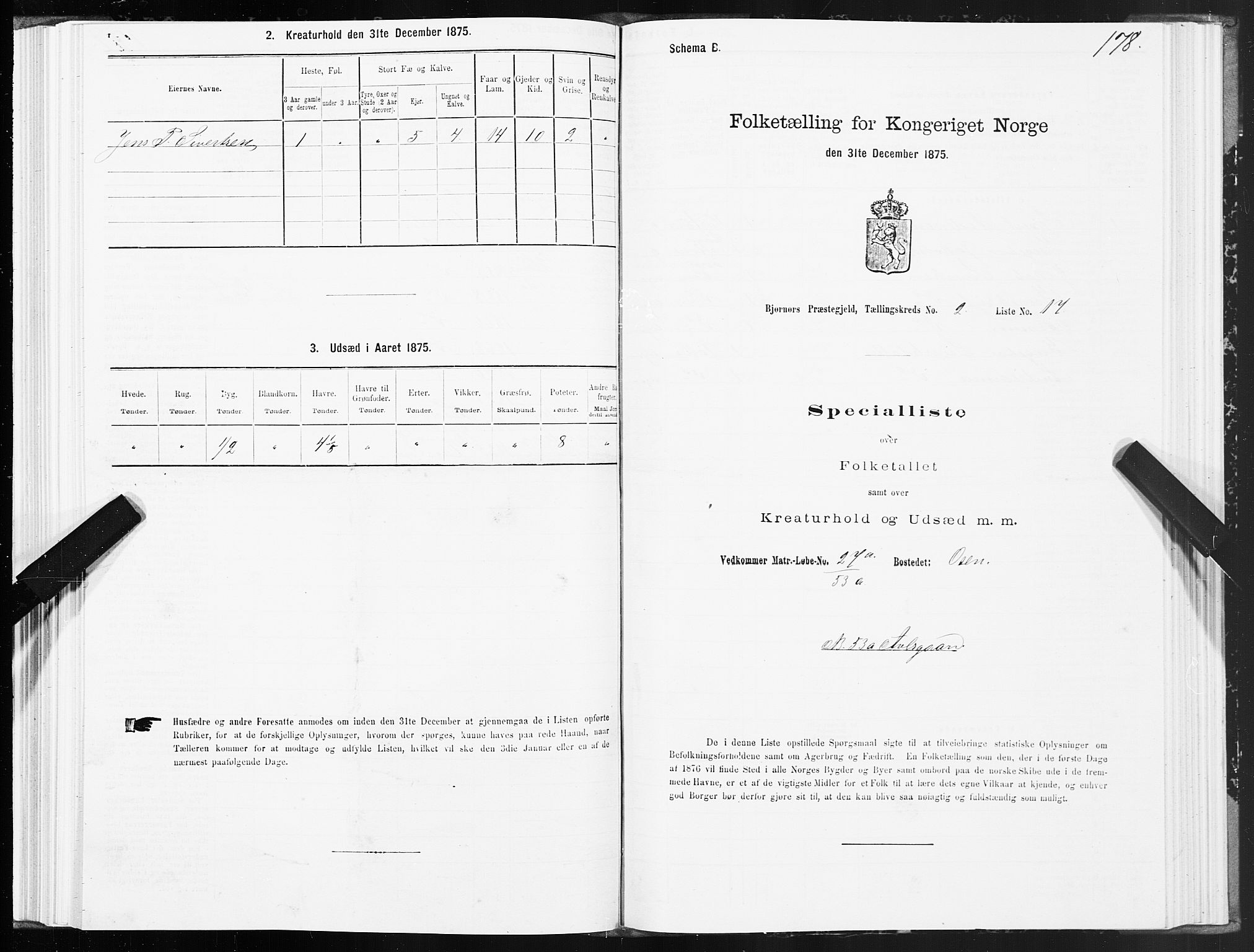 SAT, 1875 census for 1632P Bjørnør, 1875, p. 1178