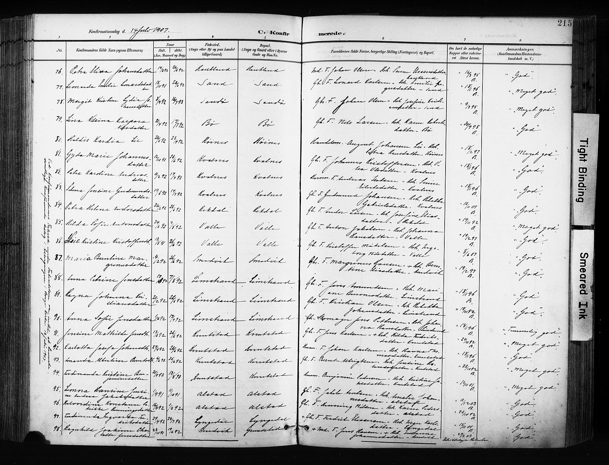 Ministerialprotokoller, klokkerbøker og fødselsregistre - Nordland, AV/SAT-A-1459/880/L1134: Parish register (official) no. 880A08, 1899-1908, p. 215