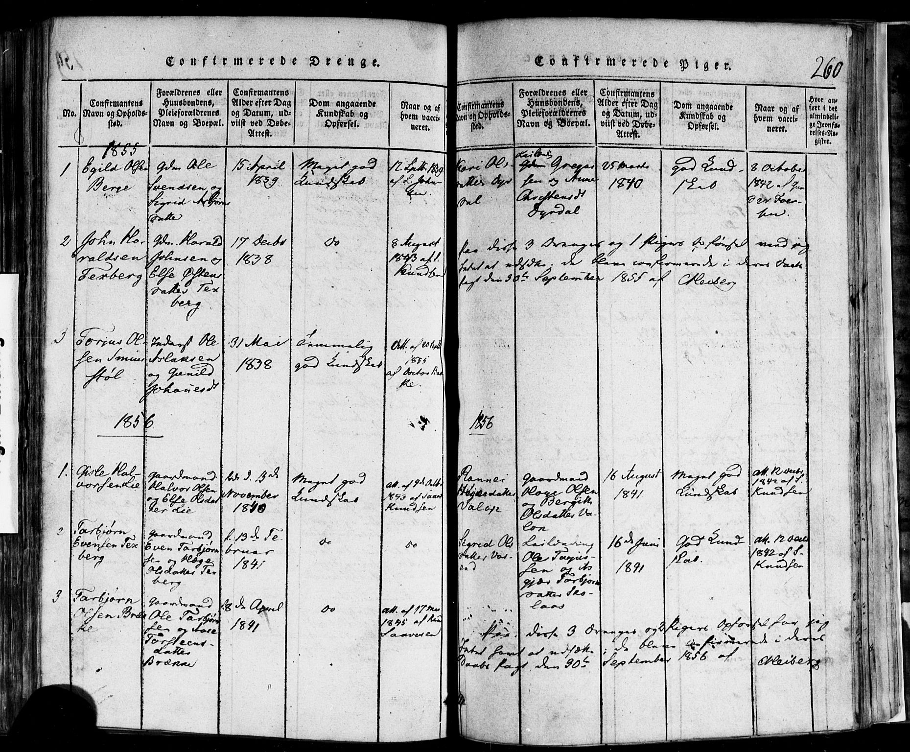 Rauland kirkebøker, SAKO/A-292/F/Fa/L0002: Parish register (official) no. 2, 1815-1860, p. 260