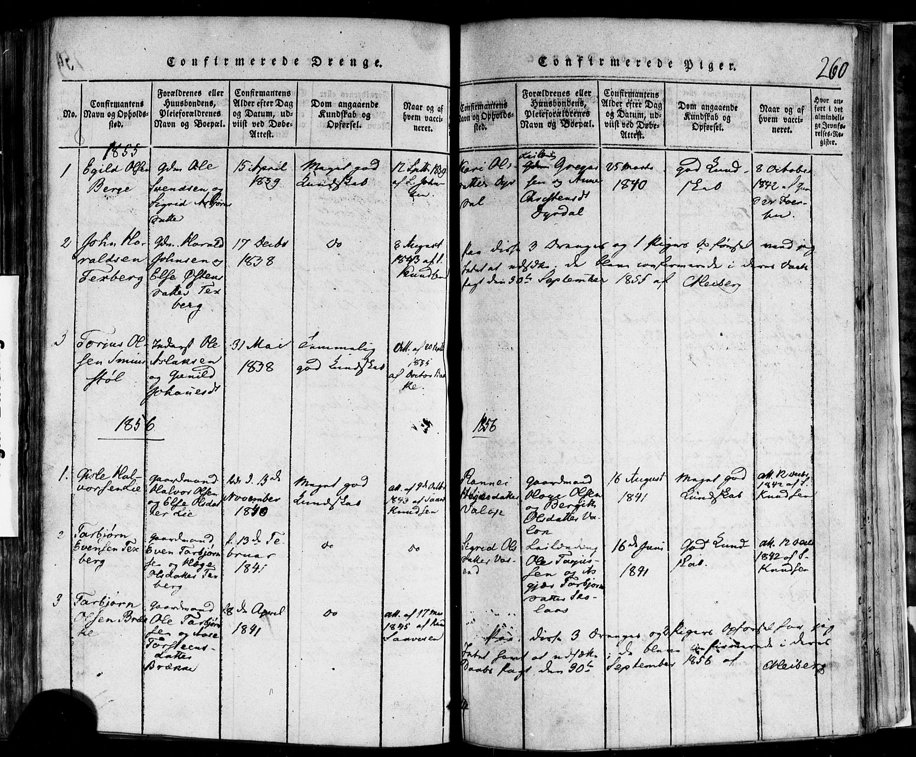 Rauland kirkebøker, AV/SAKO-A-292/F/Fa/L0002: Parish register (official) no. I 2, 1815-1860, p. 260