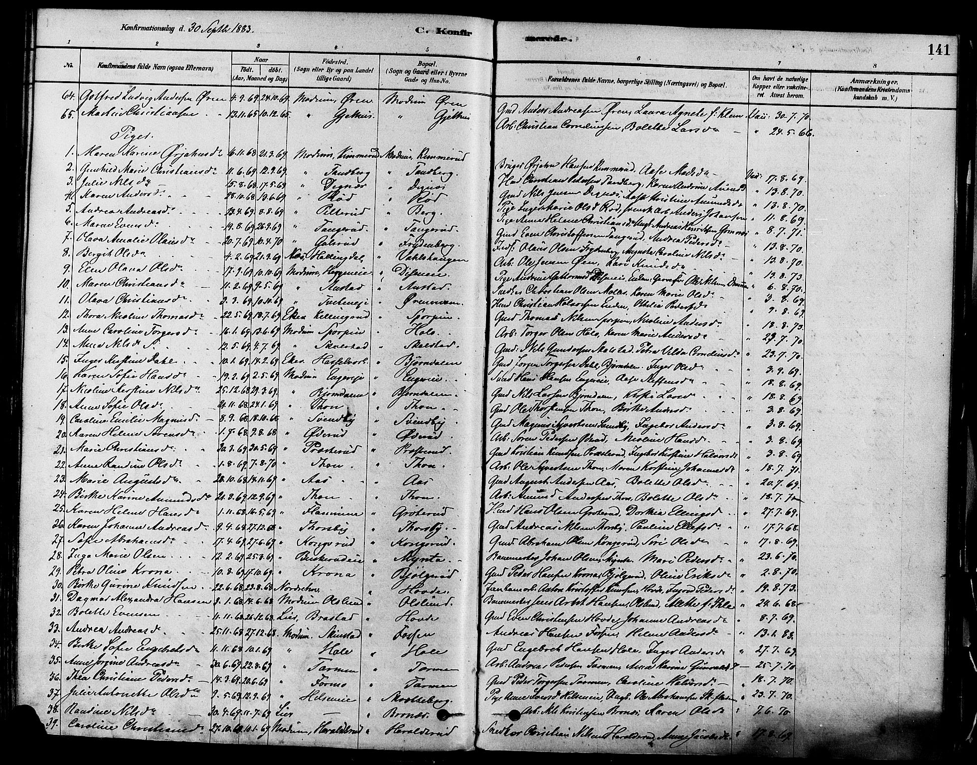 Modum kirkebøker, AV/SAKO-A-234/F/Fa/L0011: Parish register (official) no. 11, 1877-1889, p. 141