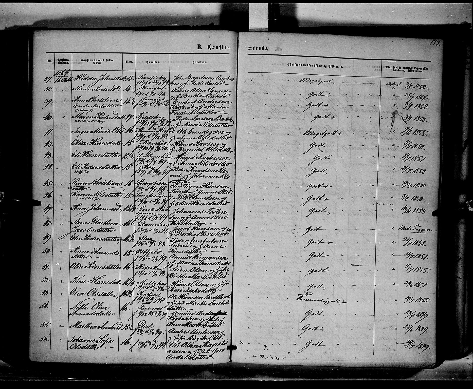 Eidskog prestekontor, AV/SAH-PREST-026/H/Ha/Haa/L0001: Parish register (official) no. 1, 1860-1867, p. 173