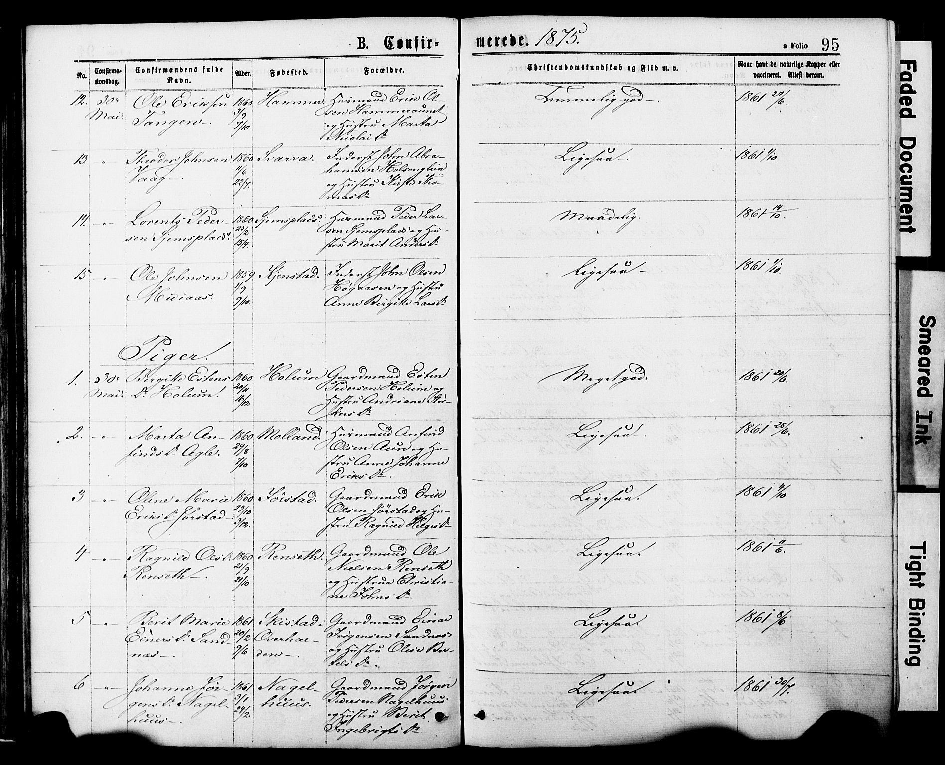 Ministerialprotokoller, klokkerbøker og fødselsregistre - Nord-Trøndelag, SAT/A-1458/749/L0473: Parish register (official) no. 749A07, 1873-1887, p. 95