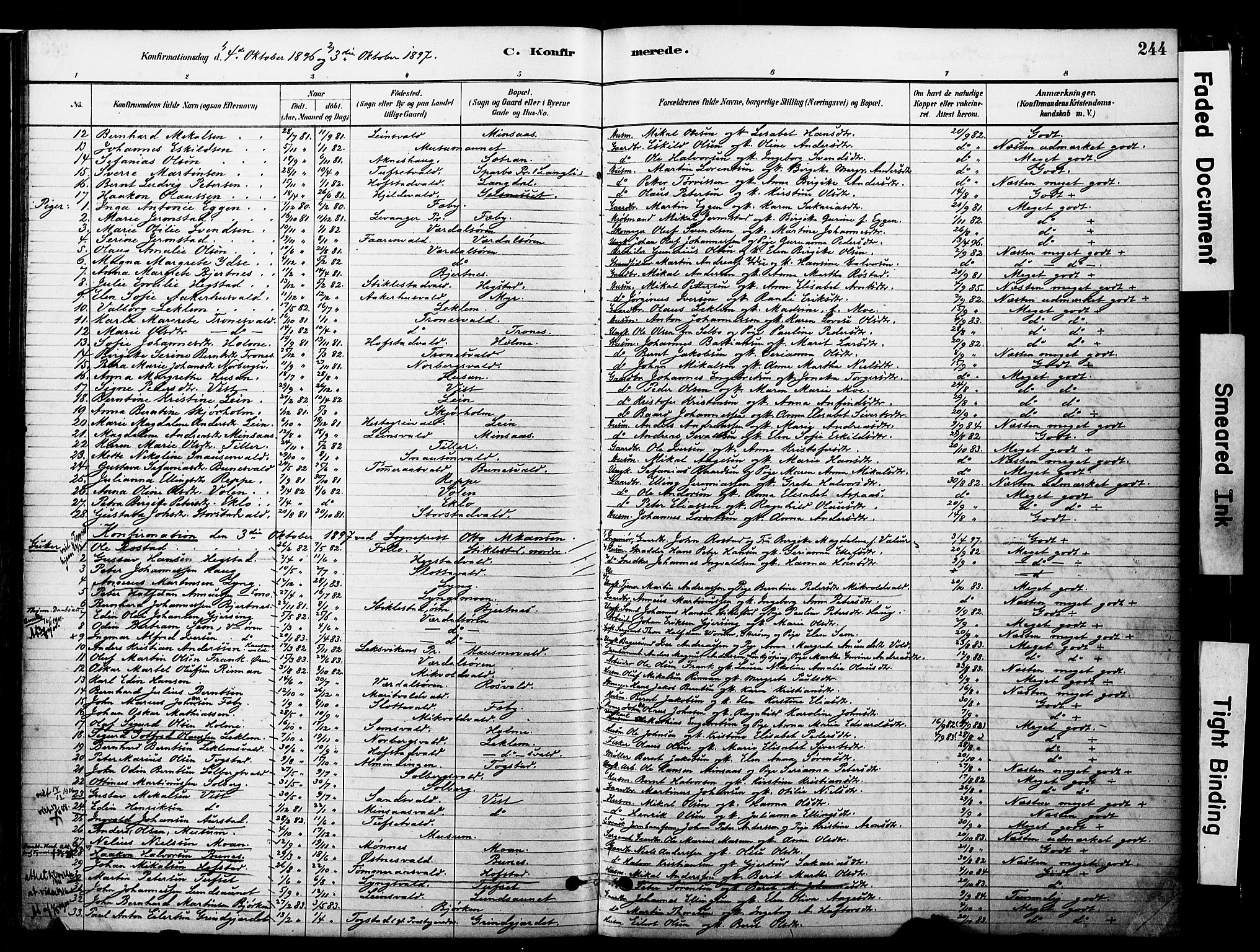 Ministerialprotokoller, klokkerbøker og fødselsregistre - Nord-Trøndelag, AV/SAT-A-1458/723/L0244: Parish register (official) no. 723A13, 1881-1899, p. 244