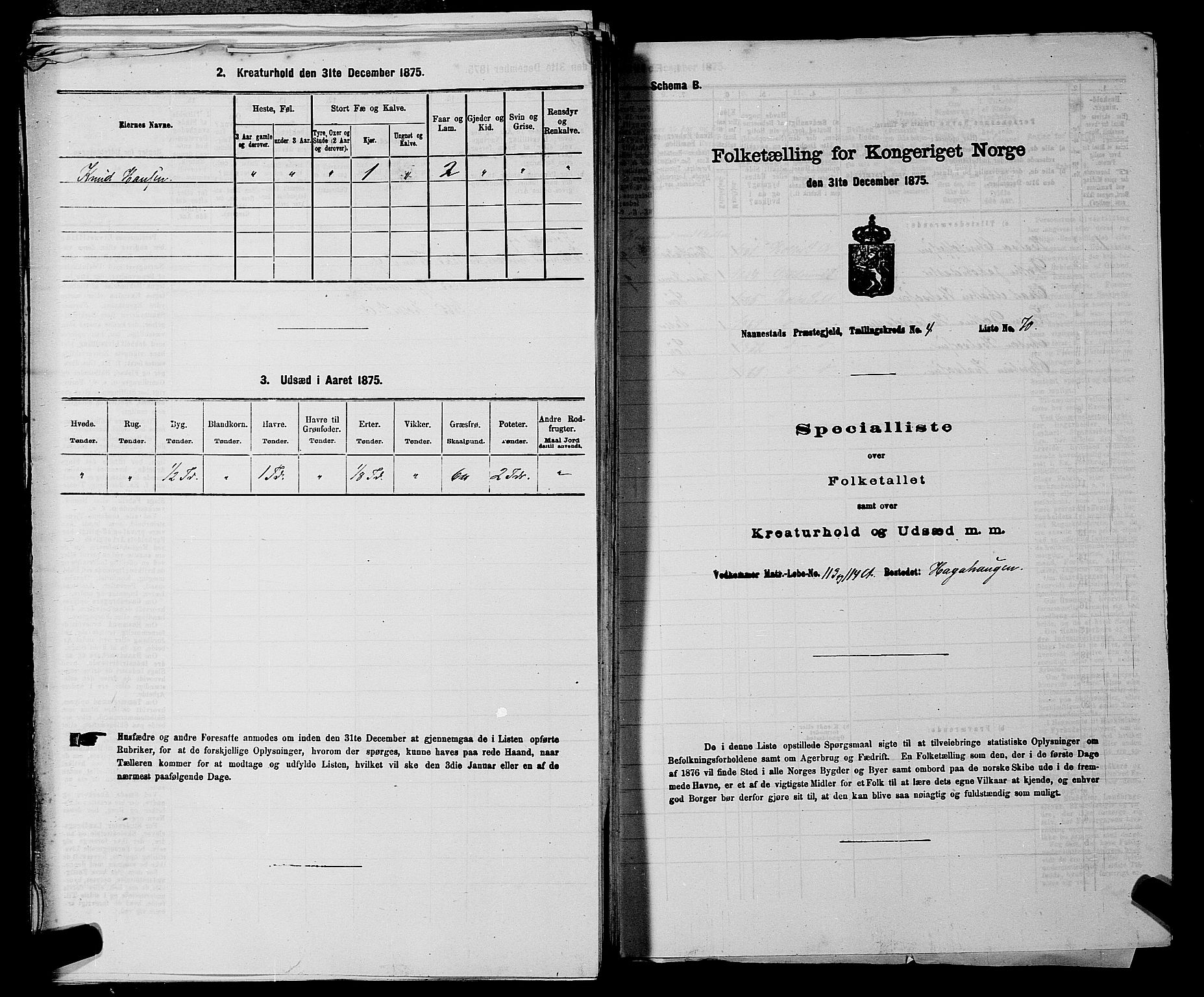 RA, 1875 census for 0238P Nannestad, 1875, p. 705