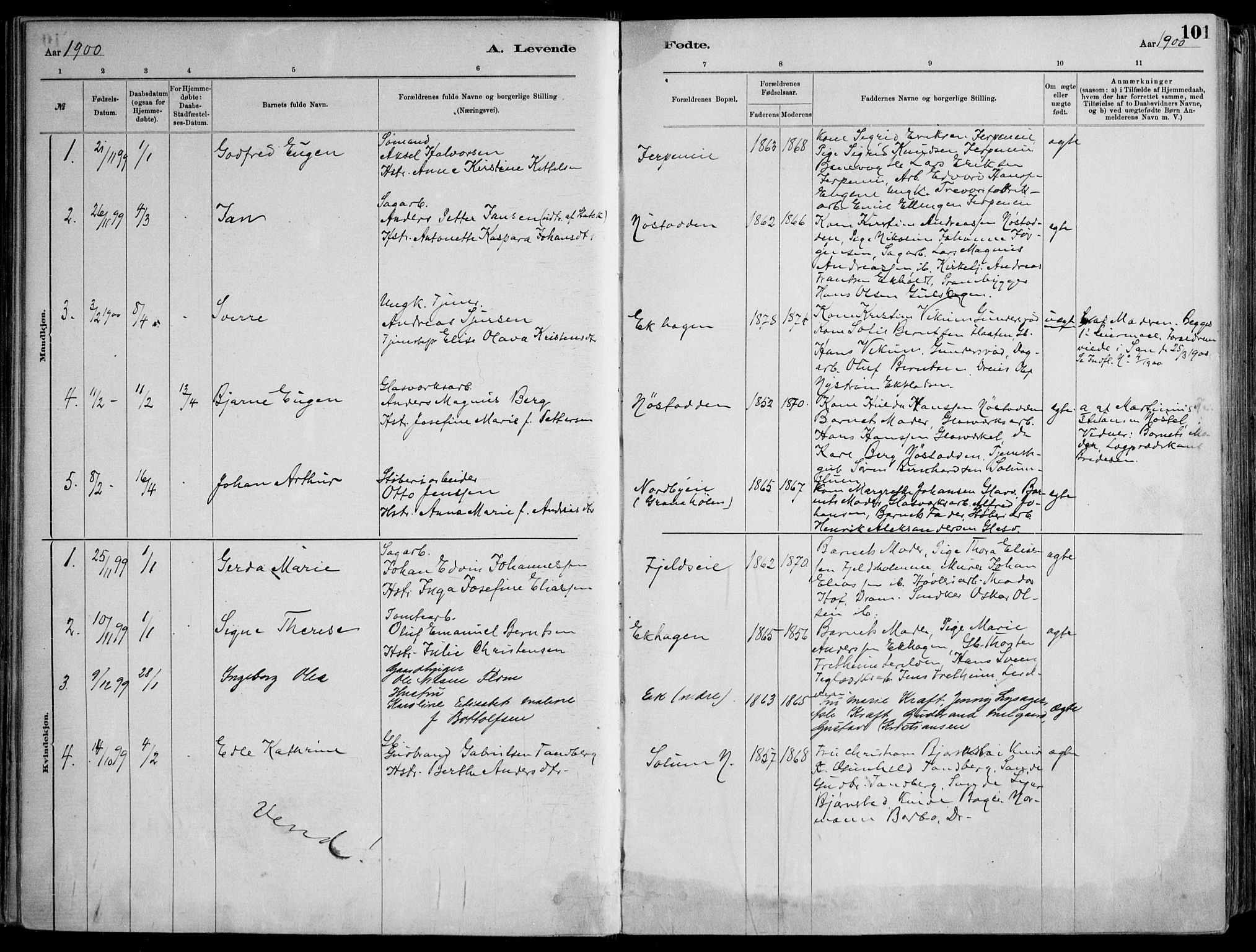 Skoger kirkebøker, AV/SAKO-A-59/F/Fa/L0006: Parish register (official) no. I 6, 1885-1910, p. 101