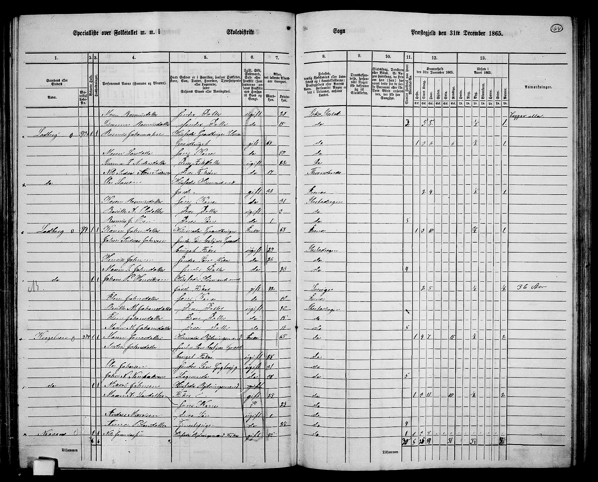 RA, 1865 census for Ibestad, 1865, p. 156