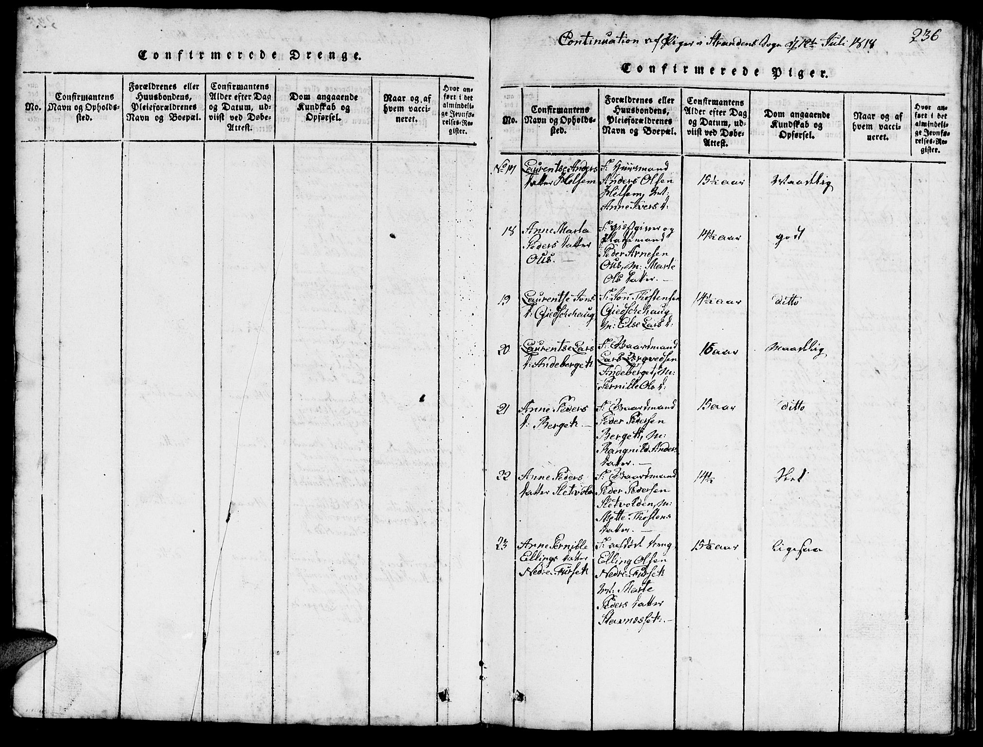 Ministerialprotokoller, klokkerbøker og fødselsregistre - Møre og Romsdal, AV/SAT-A-1454/520/L0289: Parish register (copy) no. 520C01, 1817-1837, p. 236