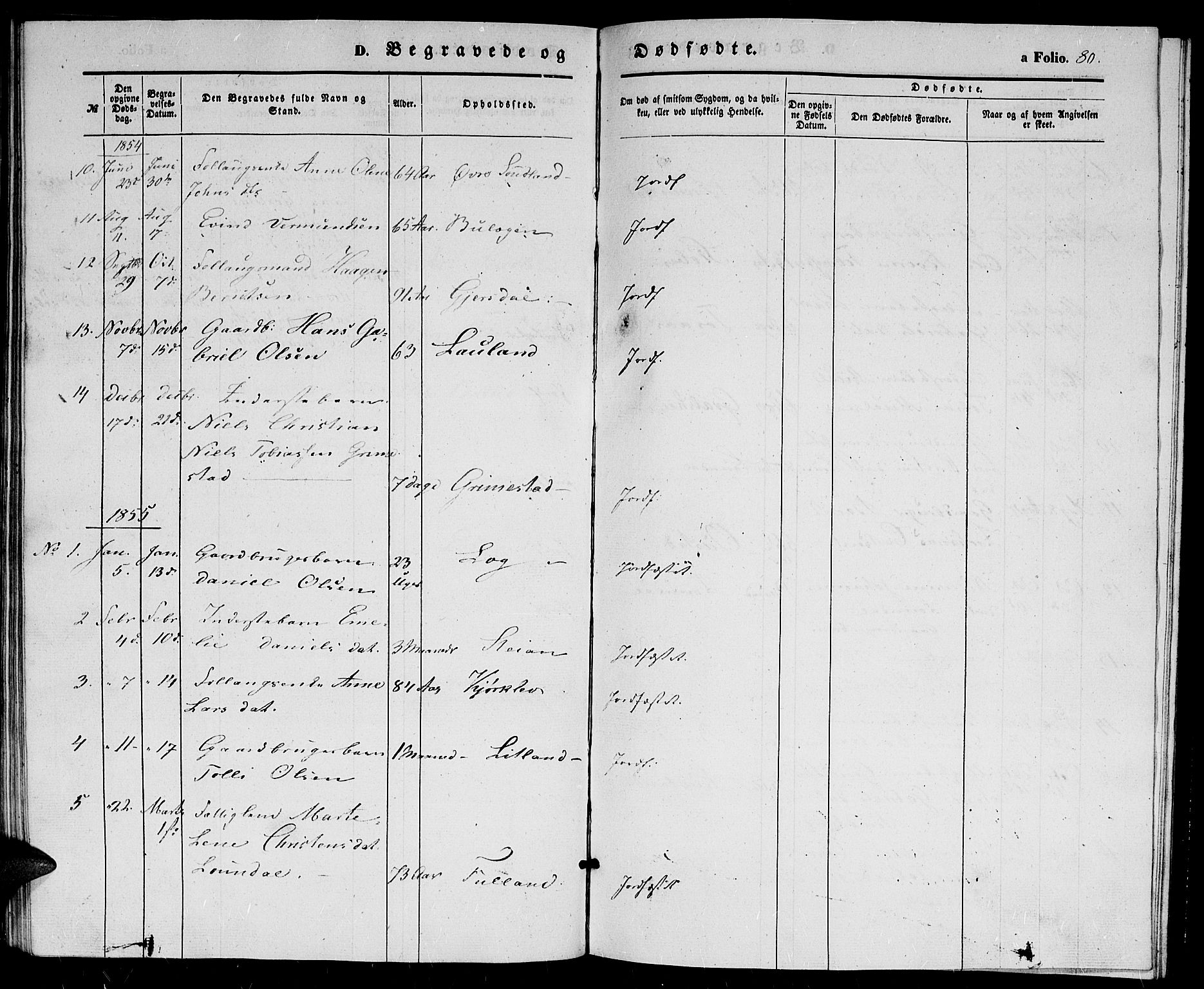 Herad sokneprestkontor, AV/SAK-1111-0018/F/Fb/Fba/L0002: Parish register (copy) no. B 2, 1852-1862, p. 80