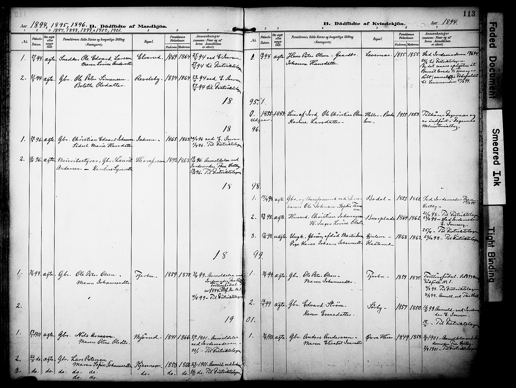 Rakkestad prestekontor Kirkebøker, AV/SAO-A-2008/F/Fa/L0013: Parish register (official) no. I 13, 1894-1908, p. 113