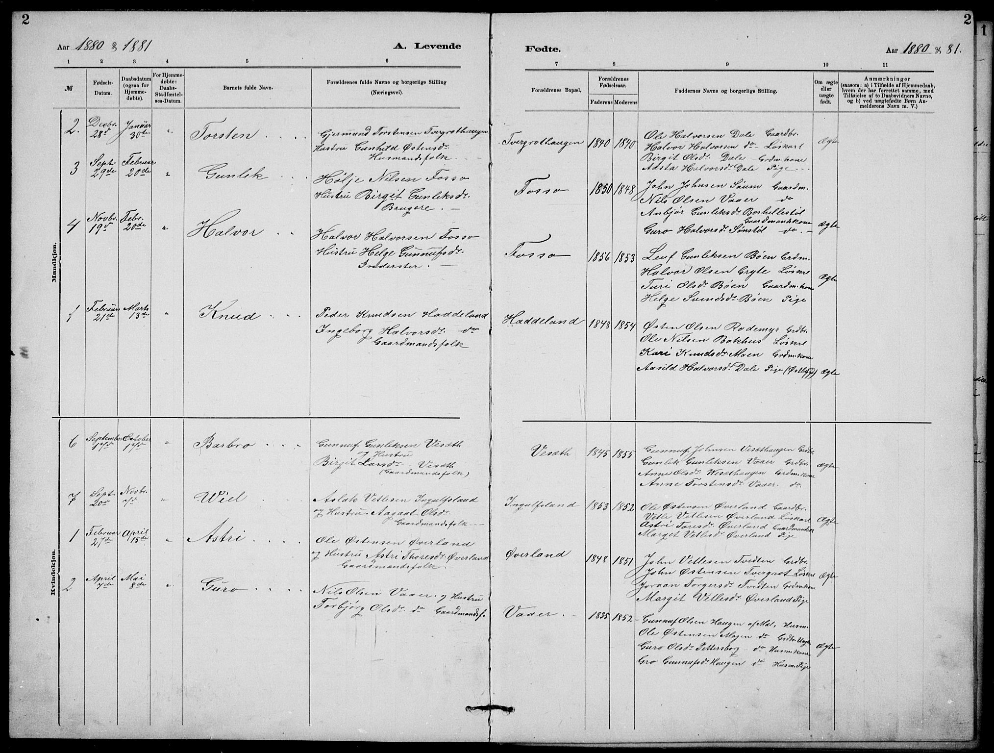 Rjukan kirkebøker, AV/SAKO-A-294/G/Ga/L0001: Parish register (copy) no. 1, 1880-1914, p. 2