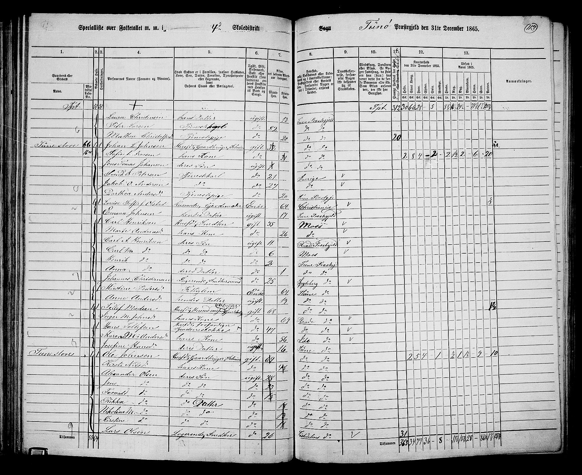 RA, 1865 census for Tune, 1865, p. 106