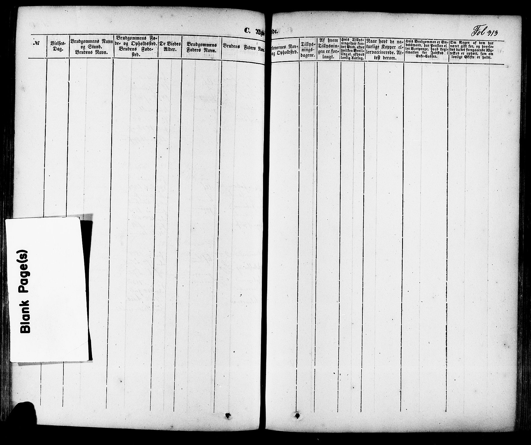 Skien kirkebøker, SAKO/A-302/F/Fa/L0006a: Parish register (official) no. 6A, 1843-1856, p. 313