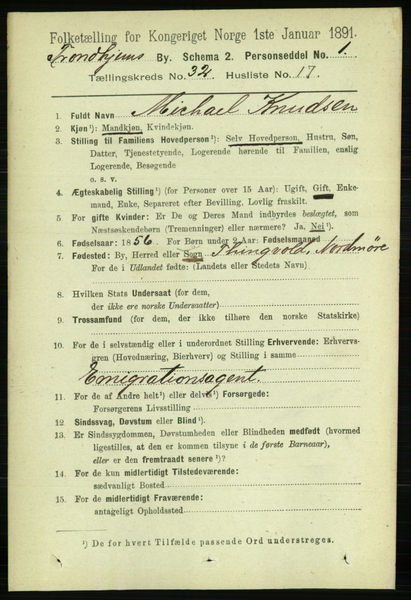 RA, 1891 census for 1601 Trondheim, 1891, p. 24114