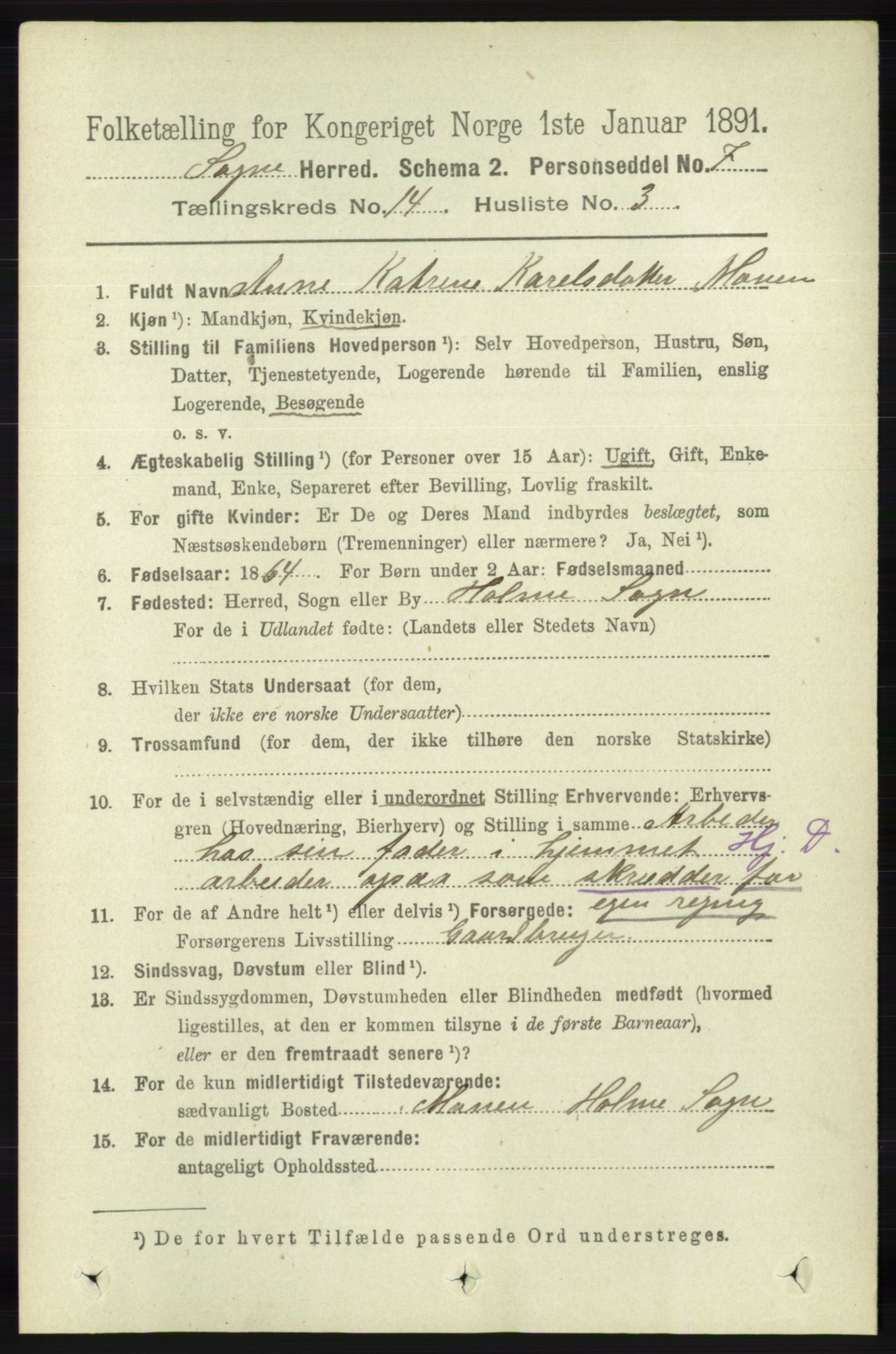RA, 1891 census for 1018 Søgne, 1891, p. 3419