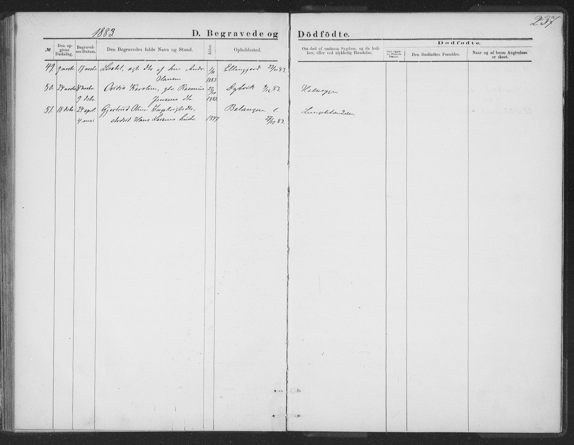 Ministerialprotokoller, klokkerbøker og fødselsregistre - Nordland, AV/SAT-A-1459/863/L0913: Parish register (copy) no. 863C03, 1877-1885, p. 237