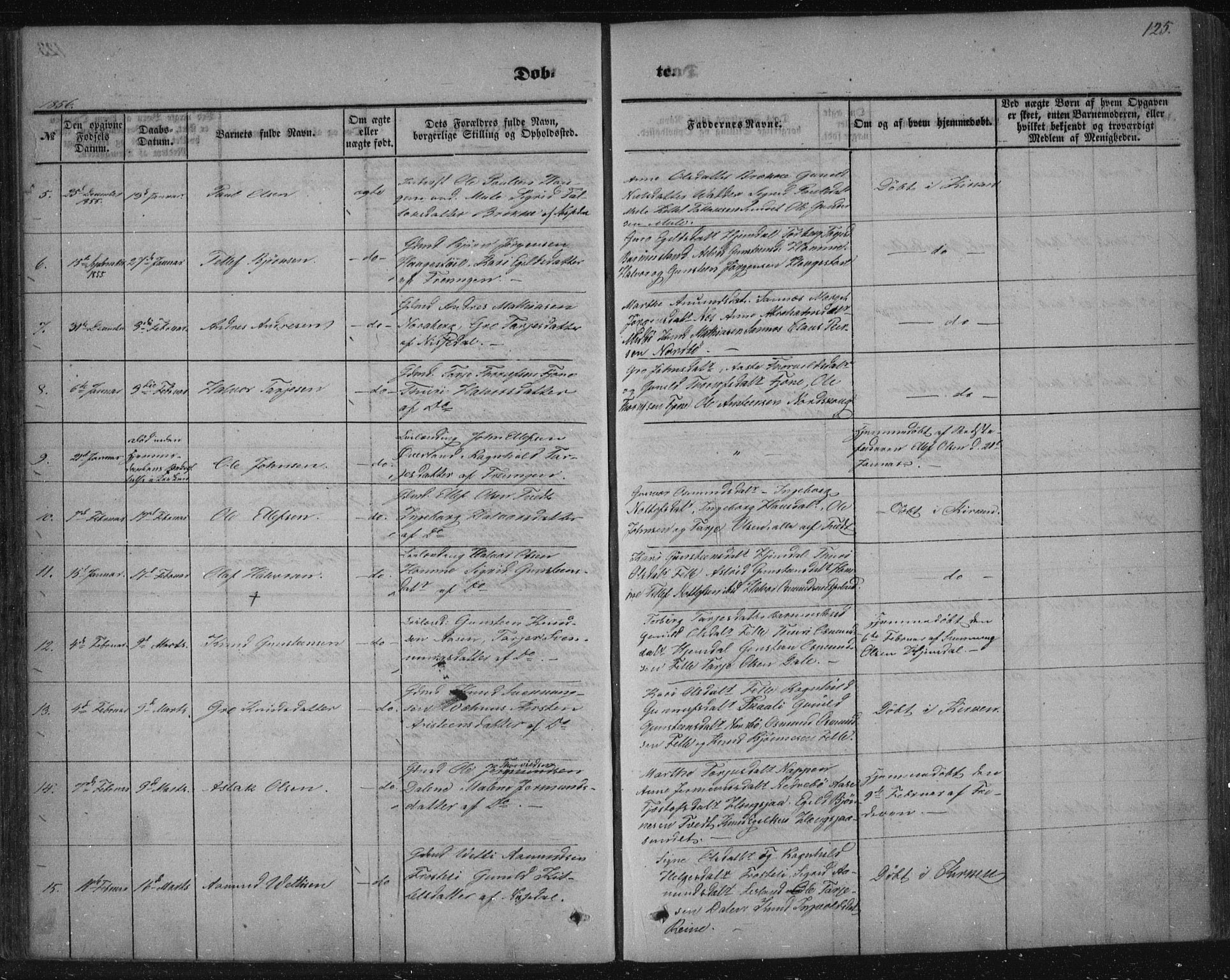 Nissedal kirkebøker, AV/SAKO-A-288/F/Fa/L0003: Parish register (official) no. I 3, 1846-1870, p. 124-125