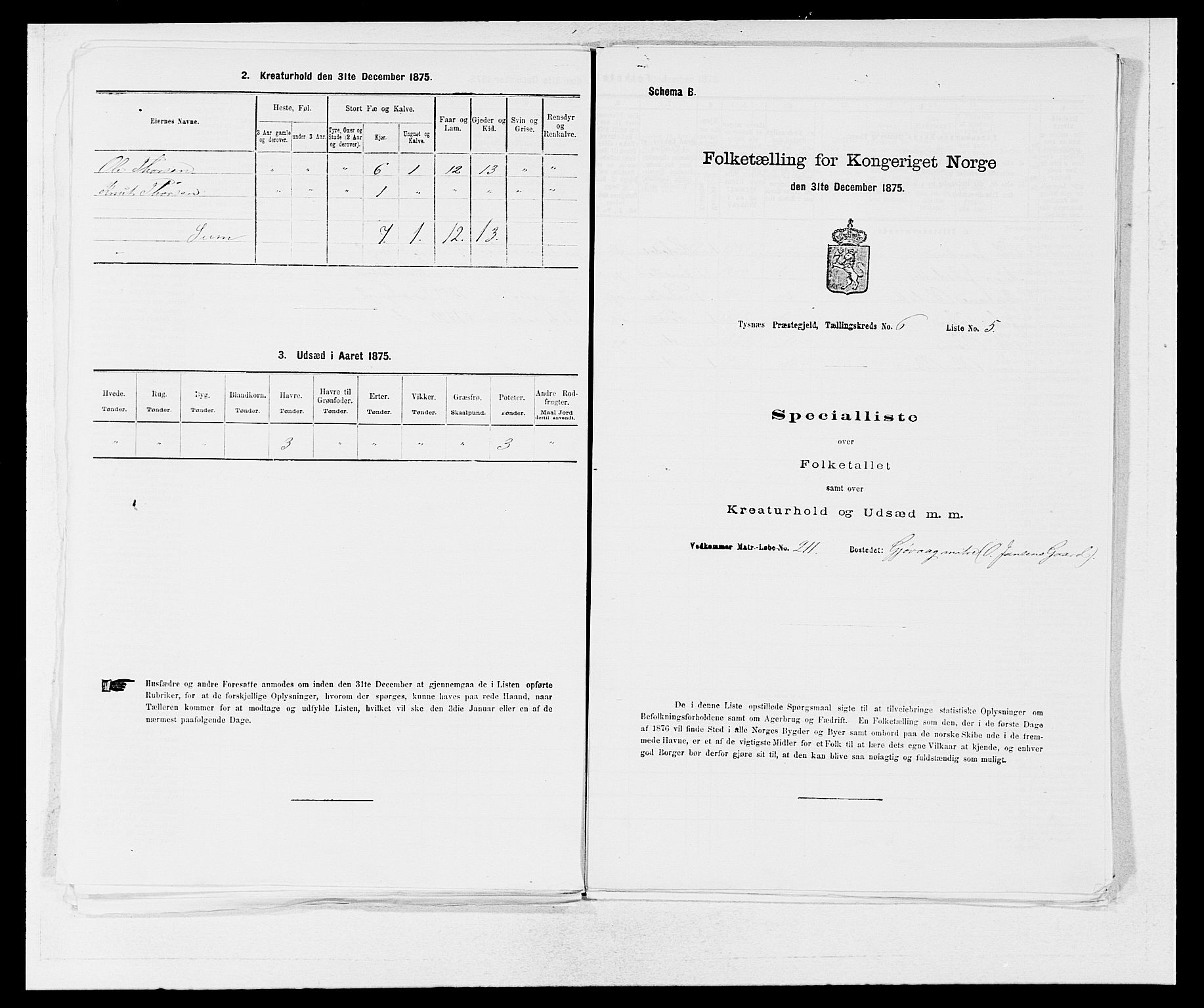 SAB, 1875 census for 1223P Tysnes, 1875, p. 654