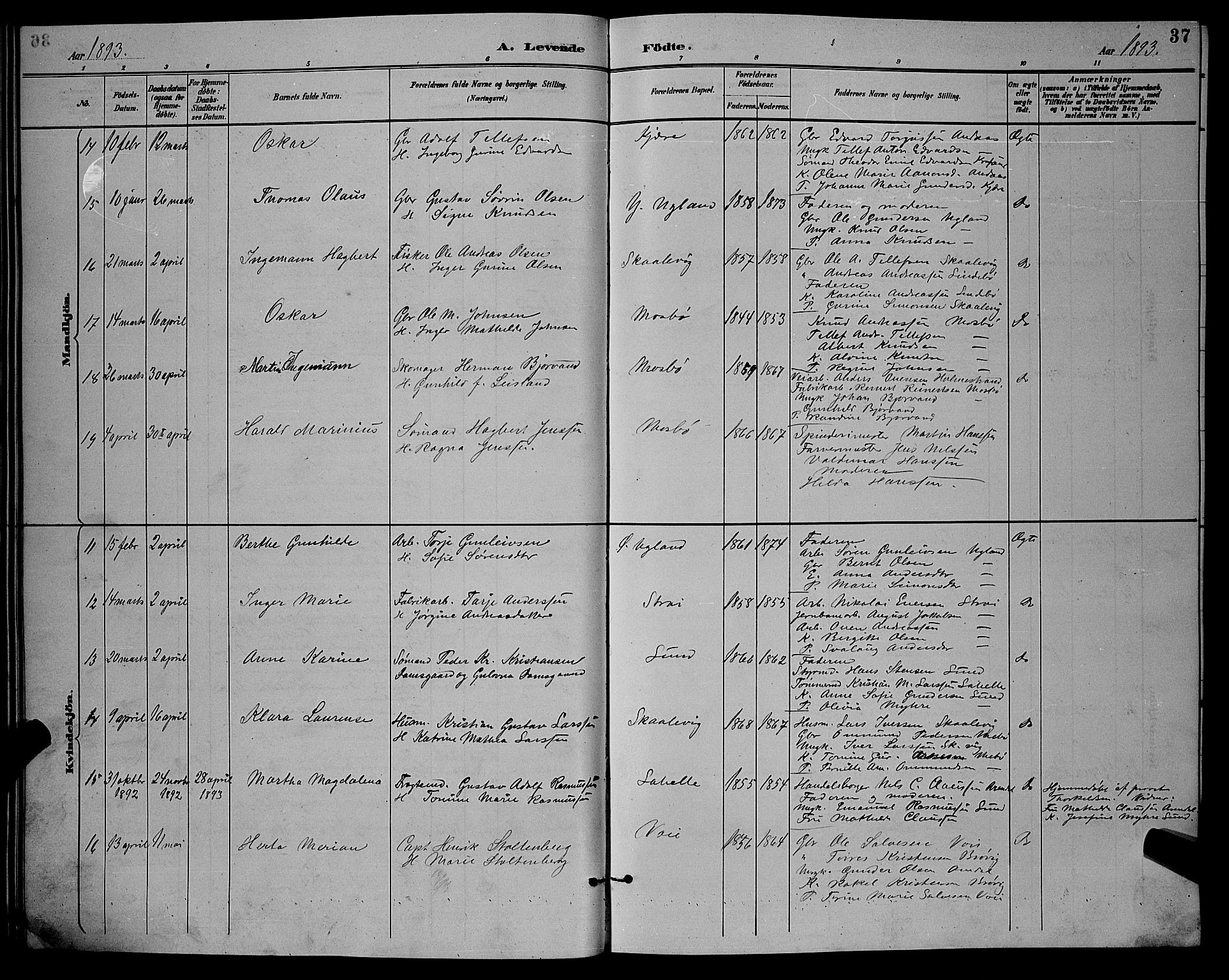 Oddernes sokneprestkontor, AV/SAK-1111-0033/F/Fb/Fba/L0008: Parish register (copy) no. B 8, 1887-1898, p. 37