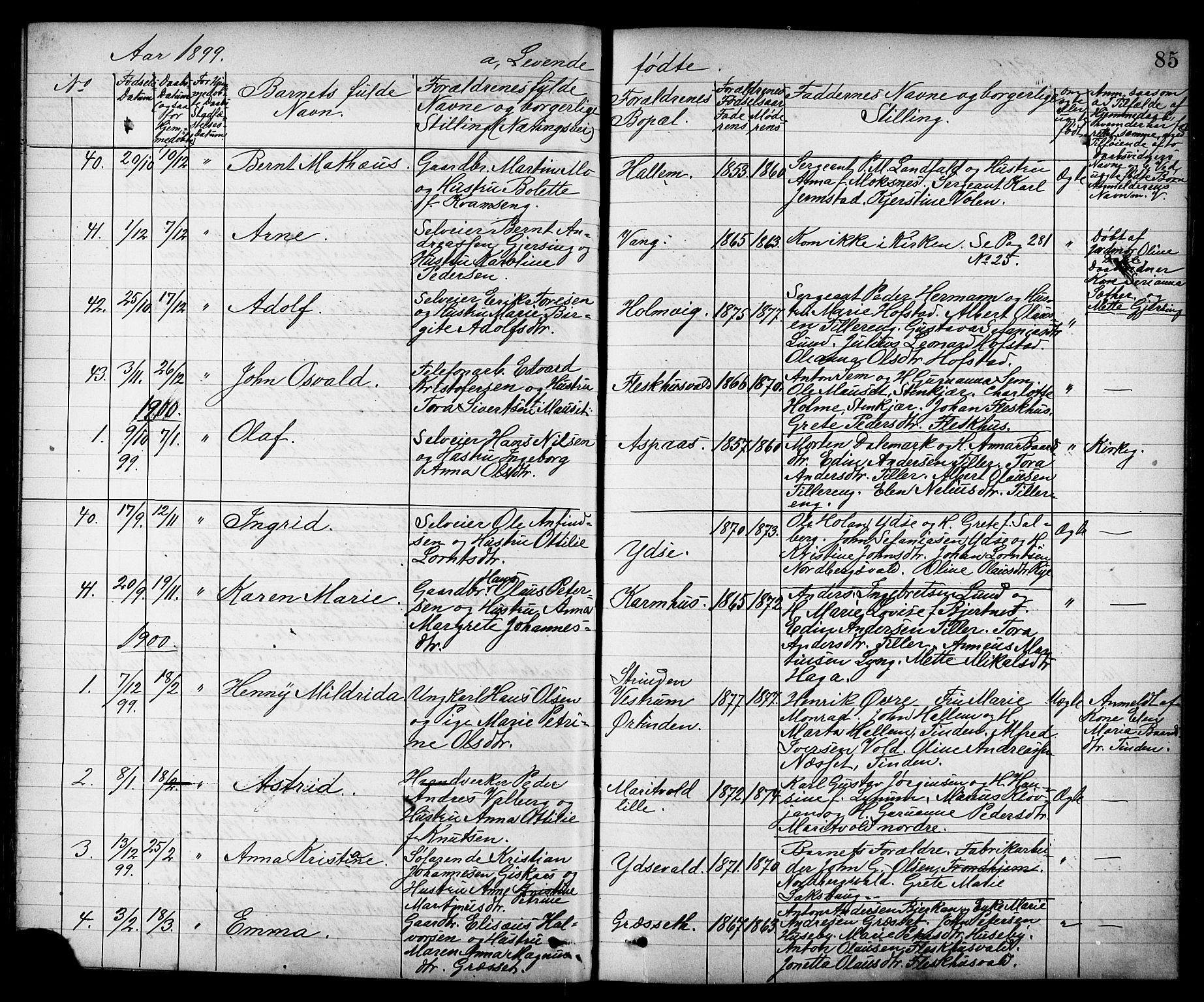 Ministerialprotokoller, klokkerbøker og fødselsregistre - Nord-Trøndelag, SAT/A-1458/723/L0257: Parish register (copy) no. 723C05, 1890-1907, p. 85