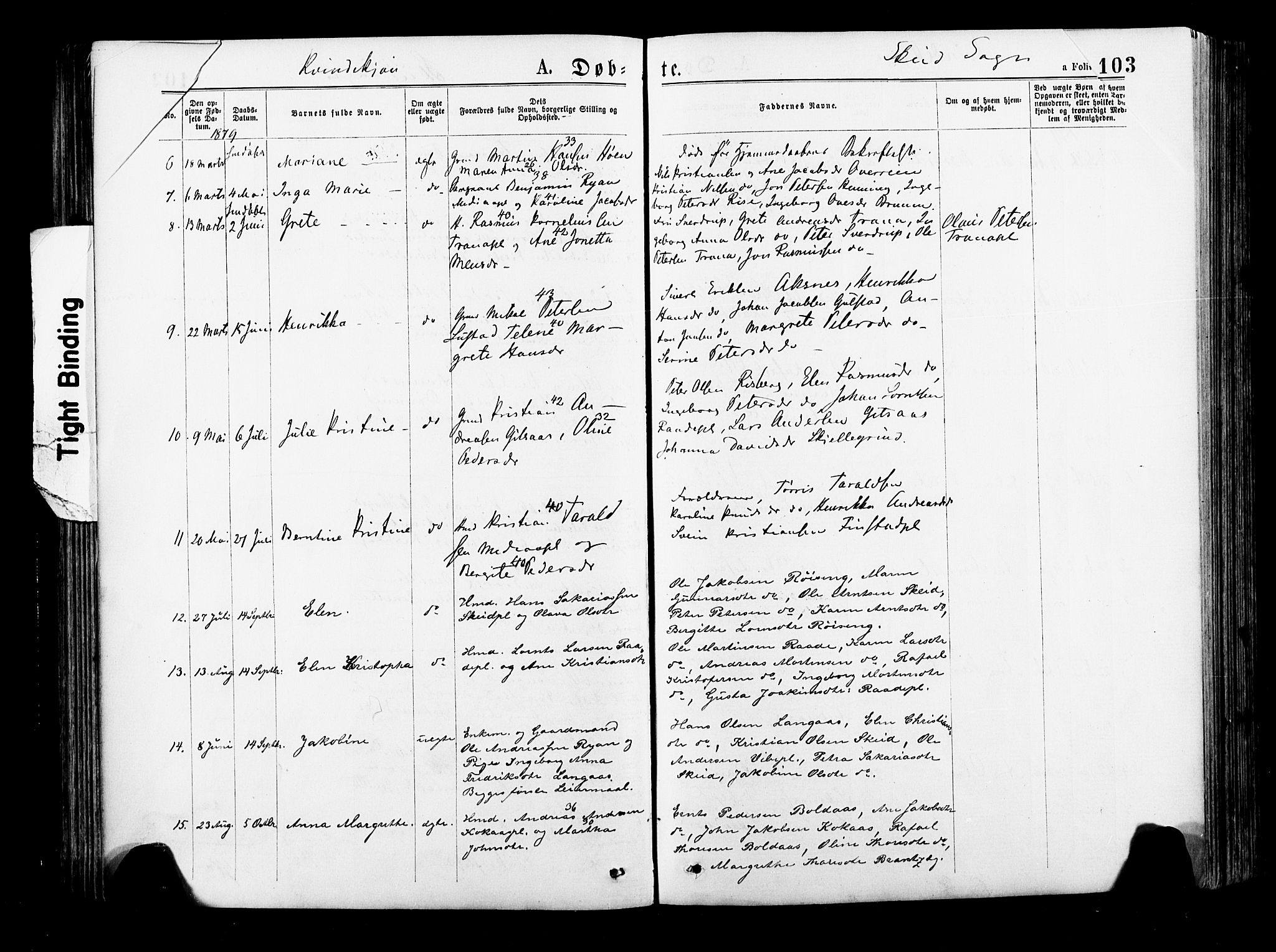 Ministerialprotokoller, klokkerbøker og fødselsregistre - Nord-Trøndelag, SAT/A-1458/735/L0348: Parish register (official) no. 735A09 /2, 1873-1883, p. 103