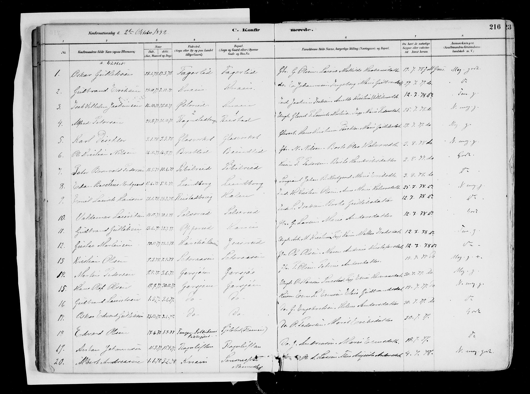 Hurdal prestekontor Kirkebøker, SAO/A-10889/F/Fa/L0007: Parish register (official) no. I 7, 1878-1906, p. 216