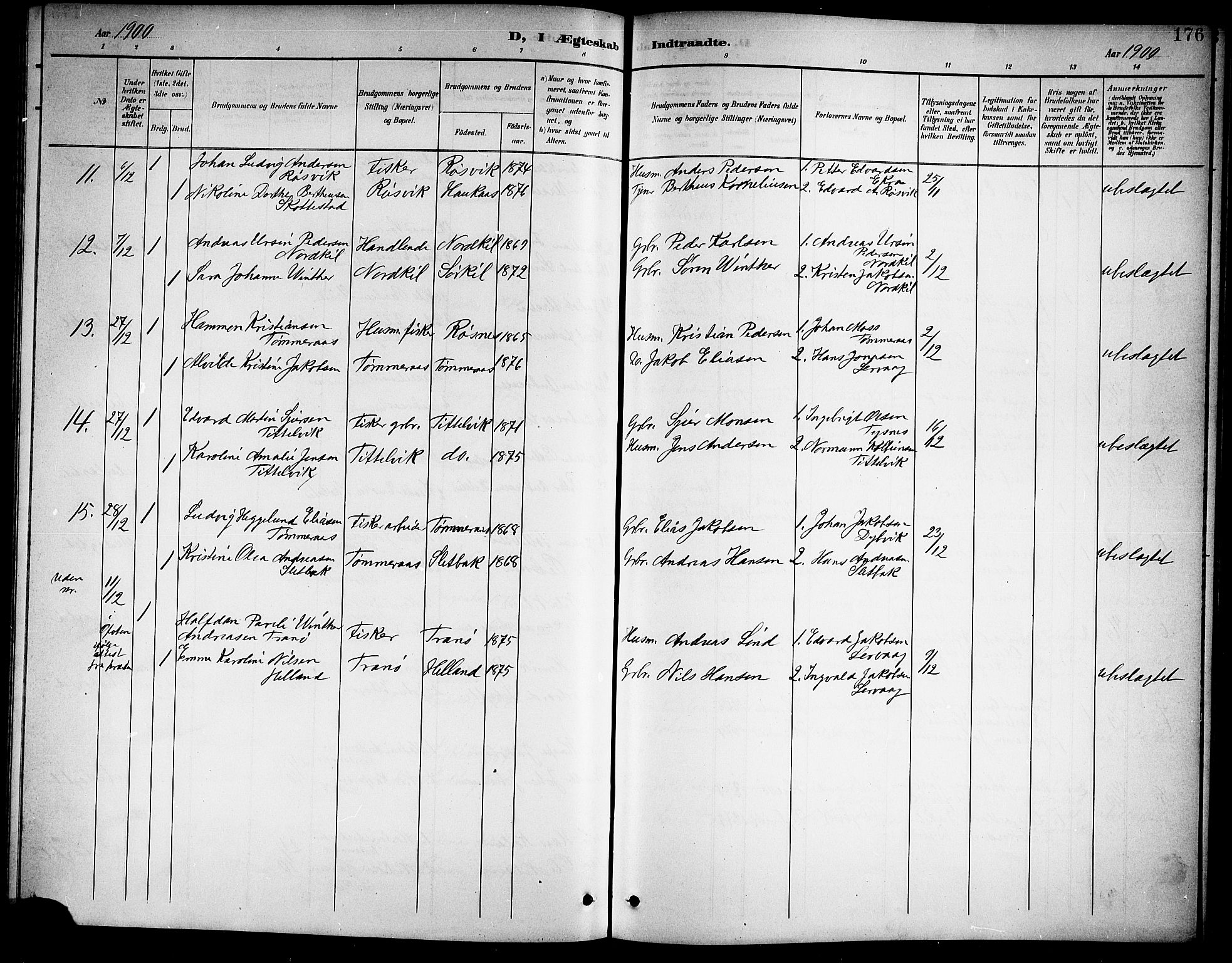 Ministerialprotokoller, klokkerbøker og fødselsregistre - Nordland, SAT/A-1459/859/L0860: Parish register (copy) no. 859C06, 1899-1909, p. 176