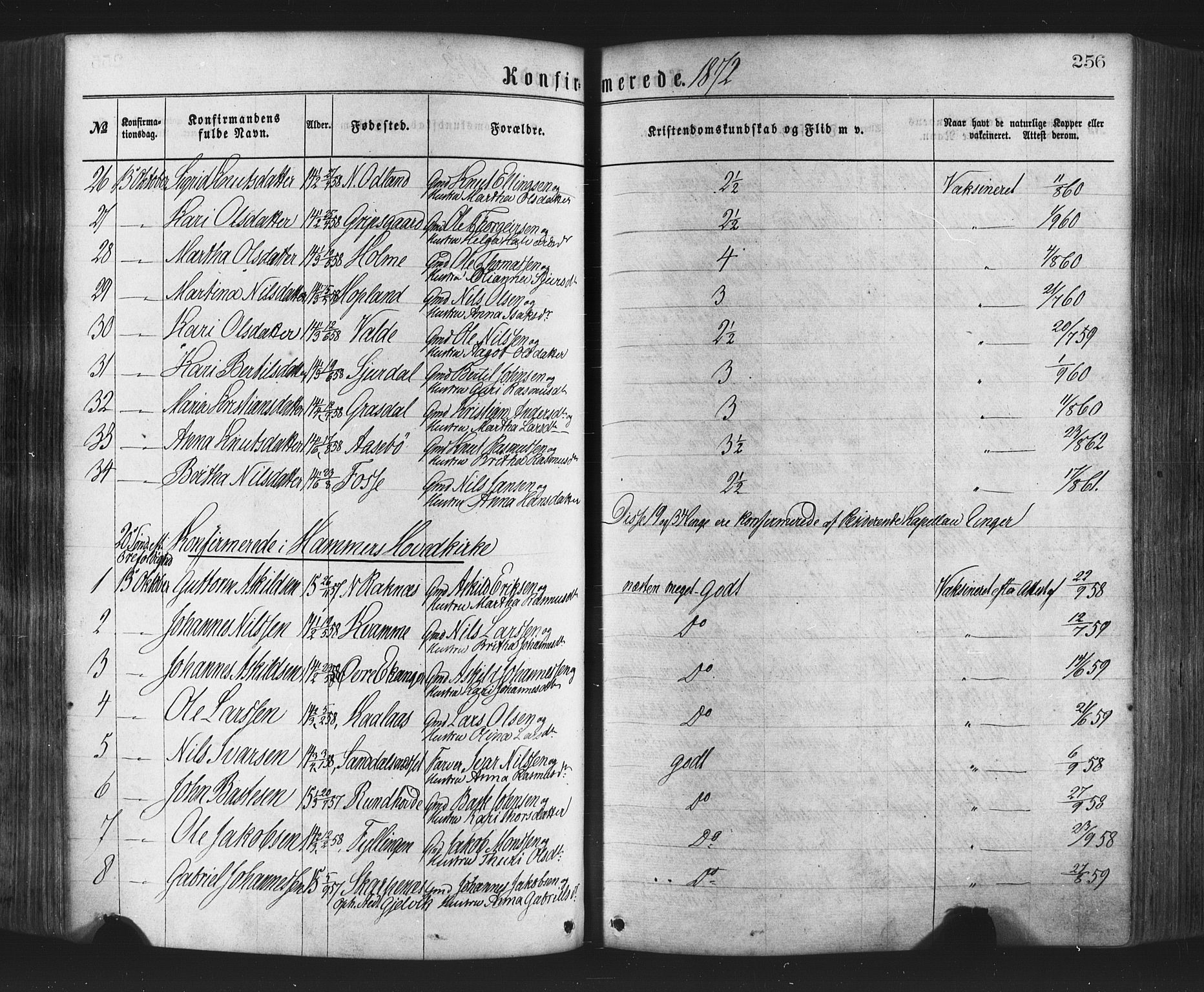 Hamre sokneprestembete, AV/SAB-A-75501/H/Ha/Haa/Haaa/L0015: Parish register (official) no. A 15, 1870-1881, p. 256