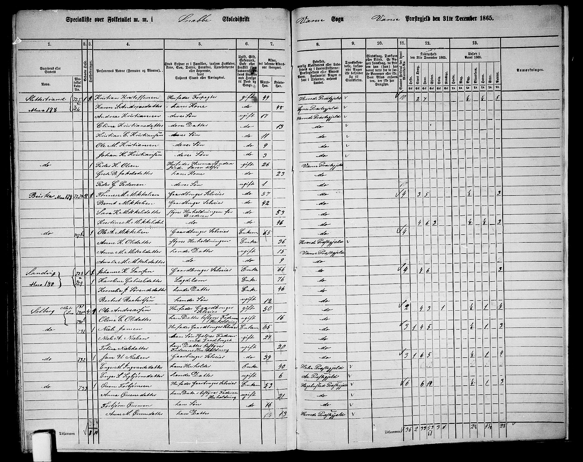 RA, 1865 census for Vanse/Vanse og Farsund, 1865, p. 255