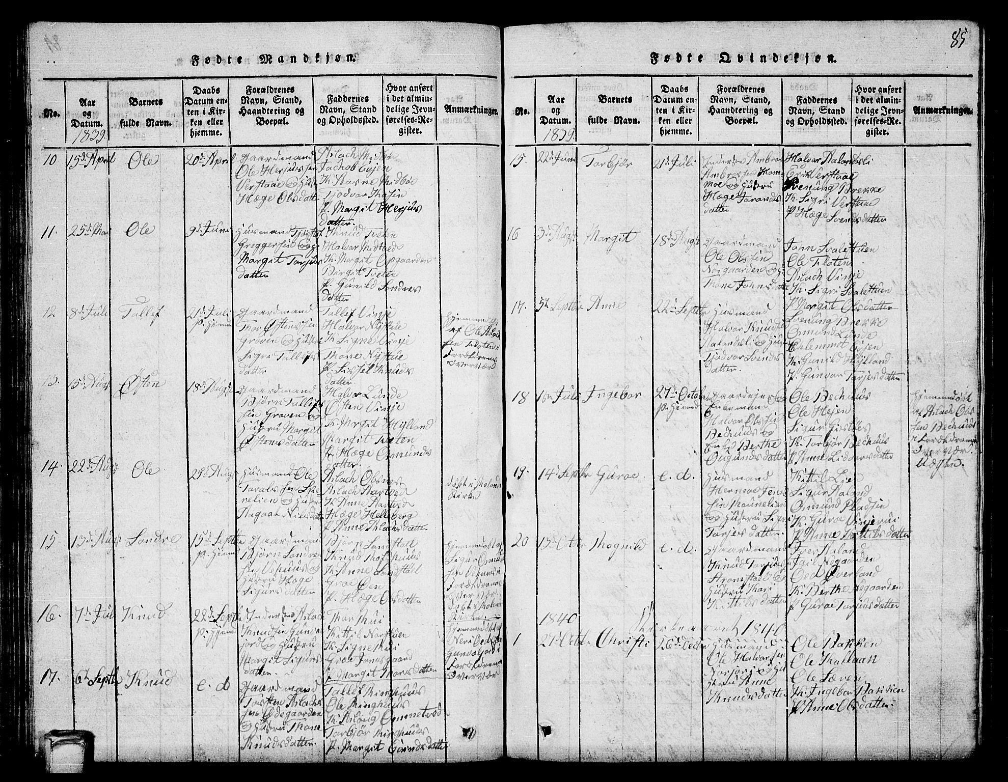 Vinje kirkebøker, SAKO/A-312/G/Ga/L0001: Parish register (copy) no. I 1, 1814-1843, p. 85