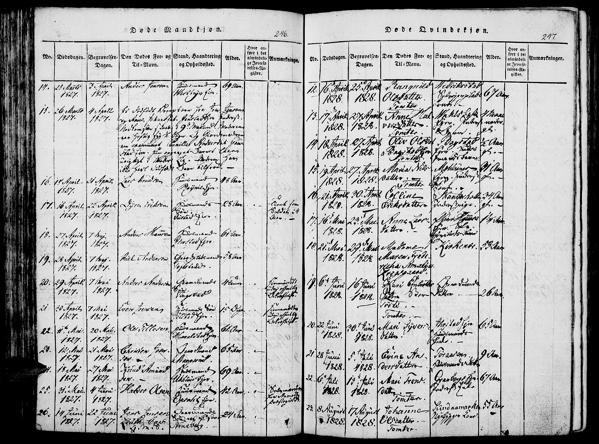 Romedal prestekontor, AV/SAH-PREST-004/K/L0002: Parish register (official) no. 2, 1814-1828, p. 246-247