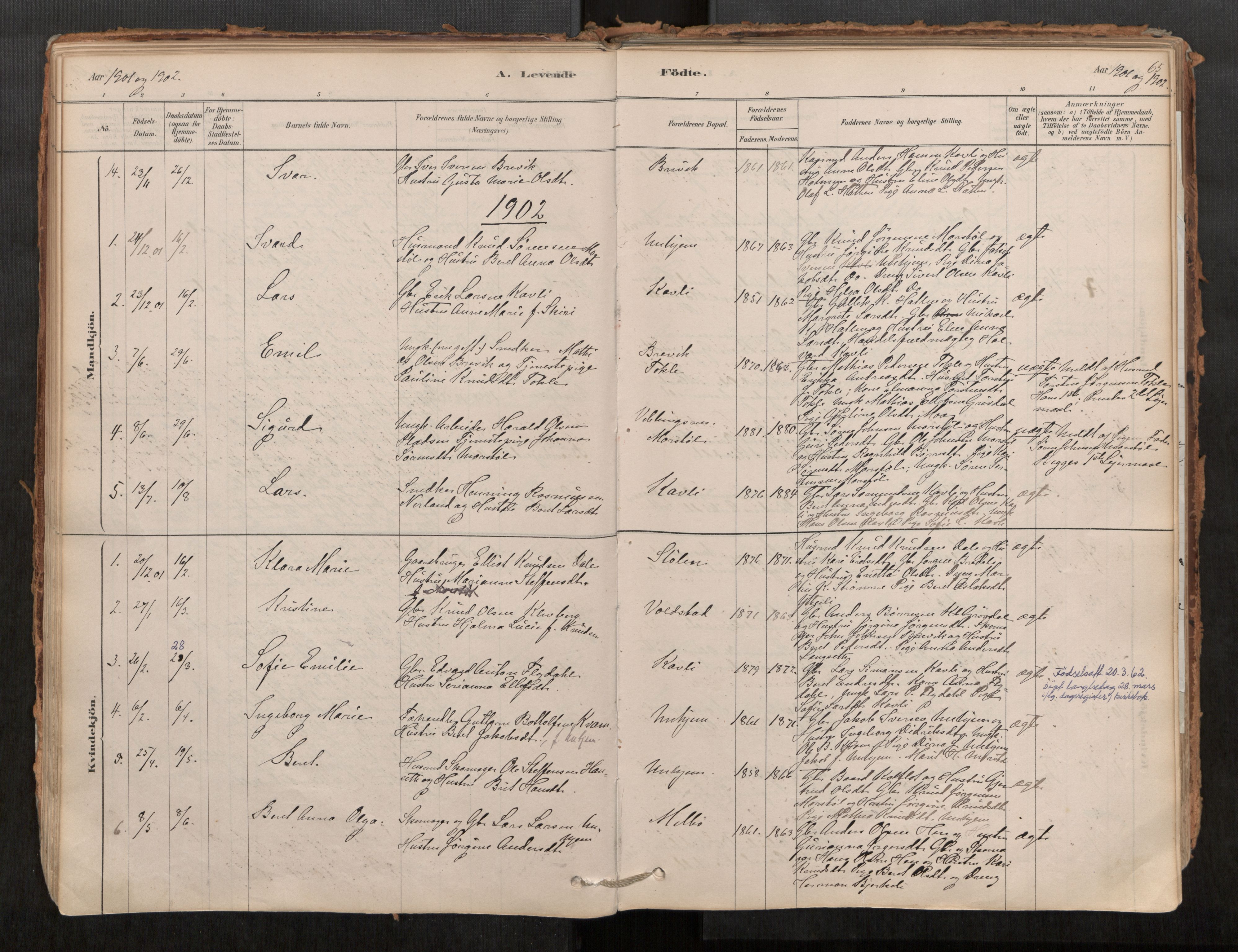 Ministerialprotokoller, klokkerbøker og fødselsregistre - Møre og Romsdal, SAT/A-1454/545/L0594: Parish register (official) no. 545A03, 1878-1920, p. 65